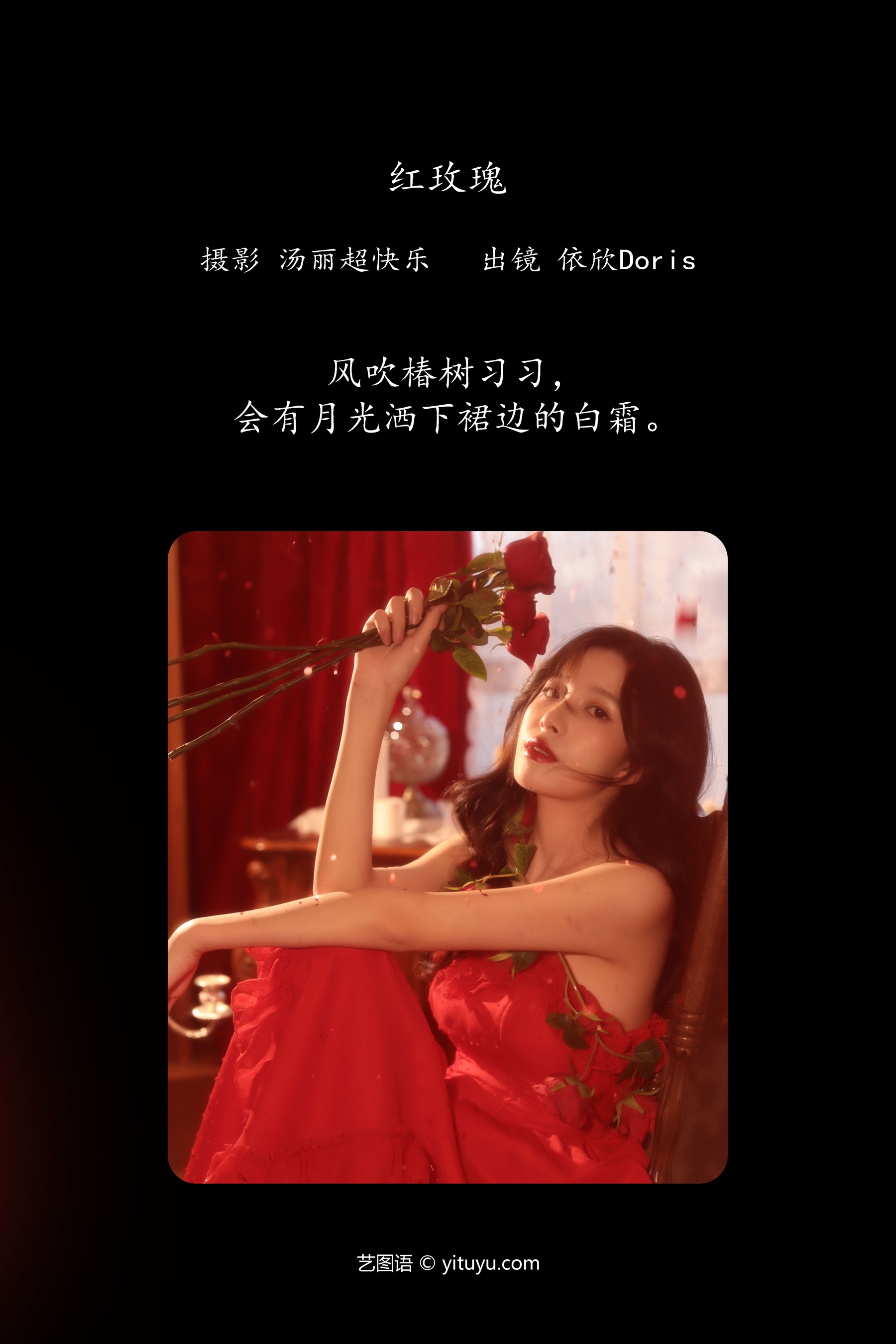 红玫瑰 依欣Doris