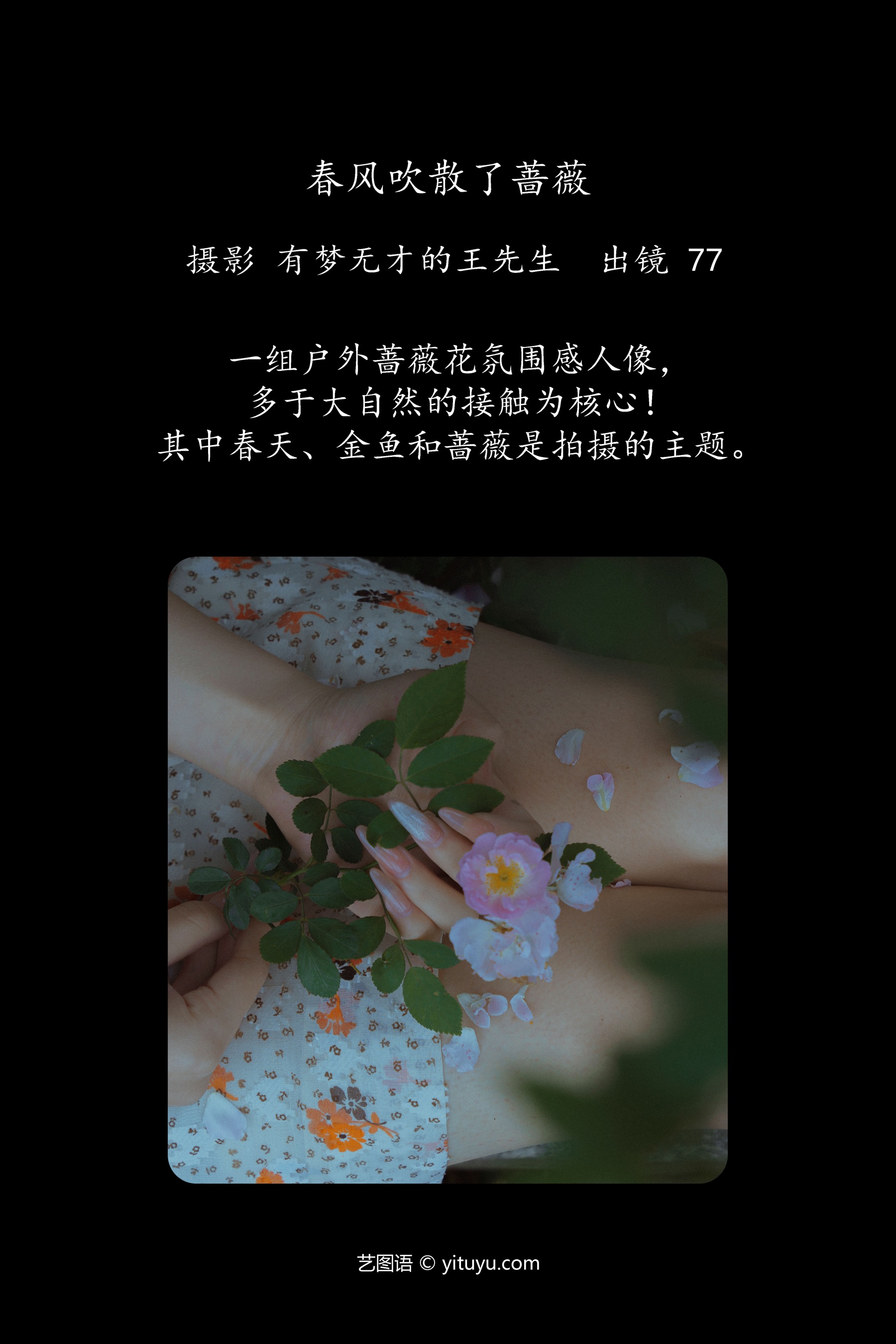 春风吹散了蔷薇 77
