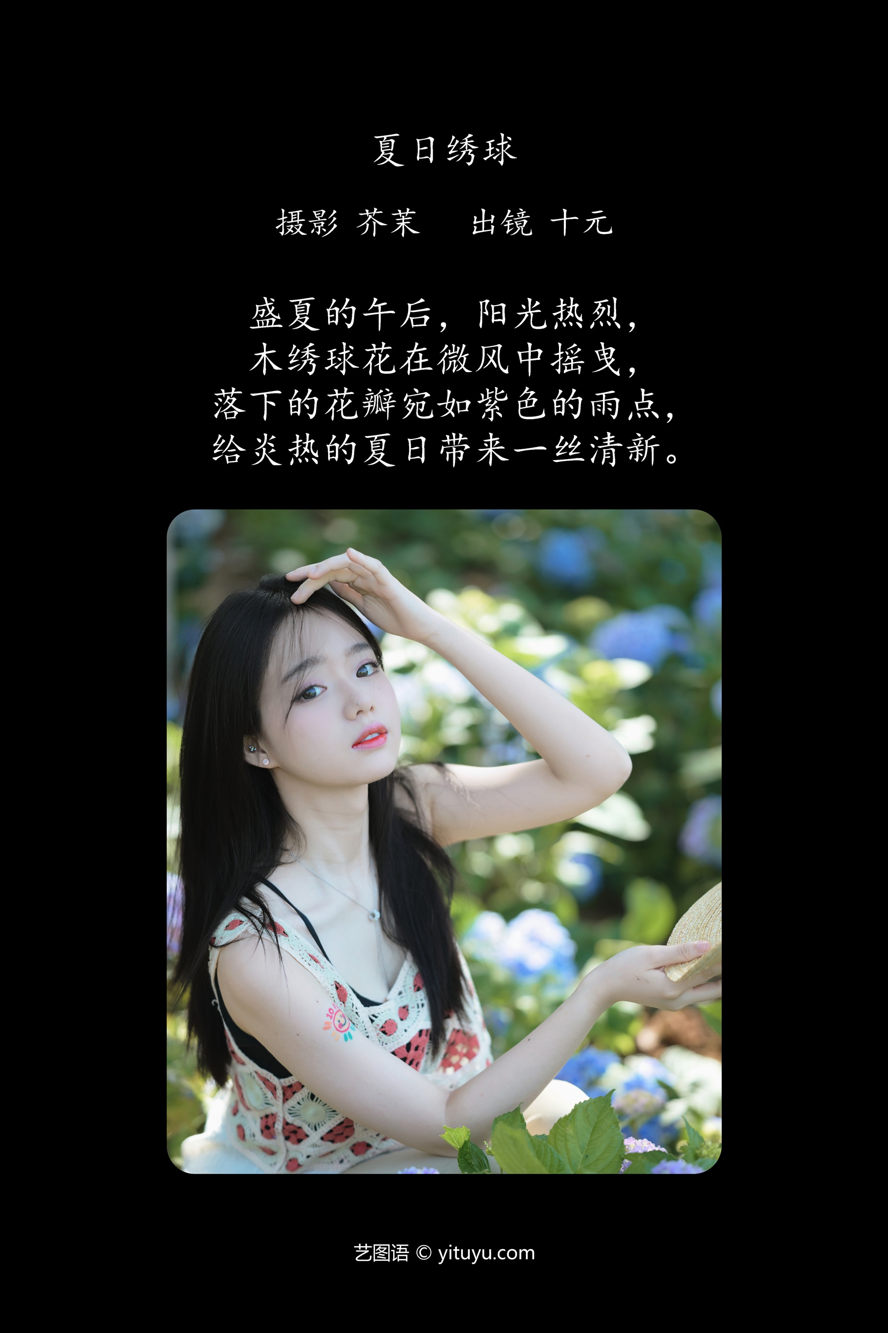 夏日绣球 十元