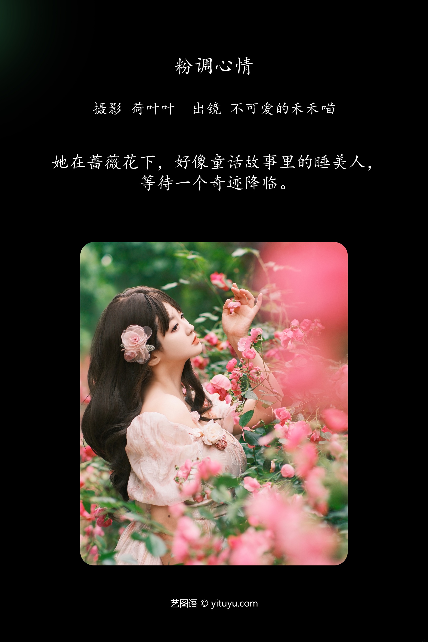 粉调心情 不可爱的禾禾喵