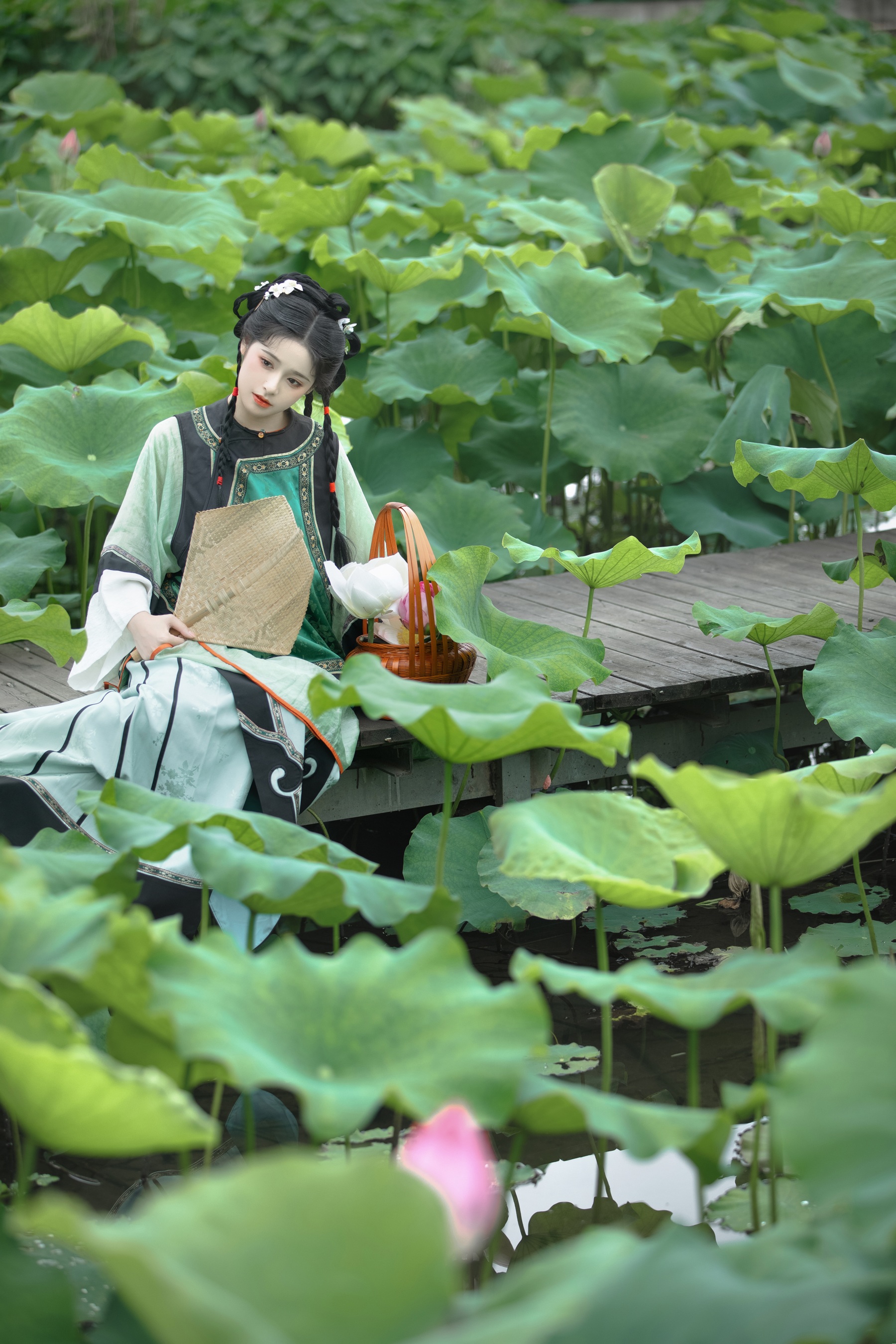 菡萏香 恬恬圈圈