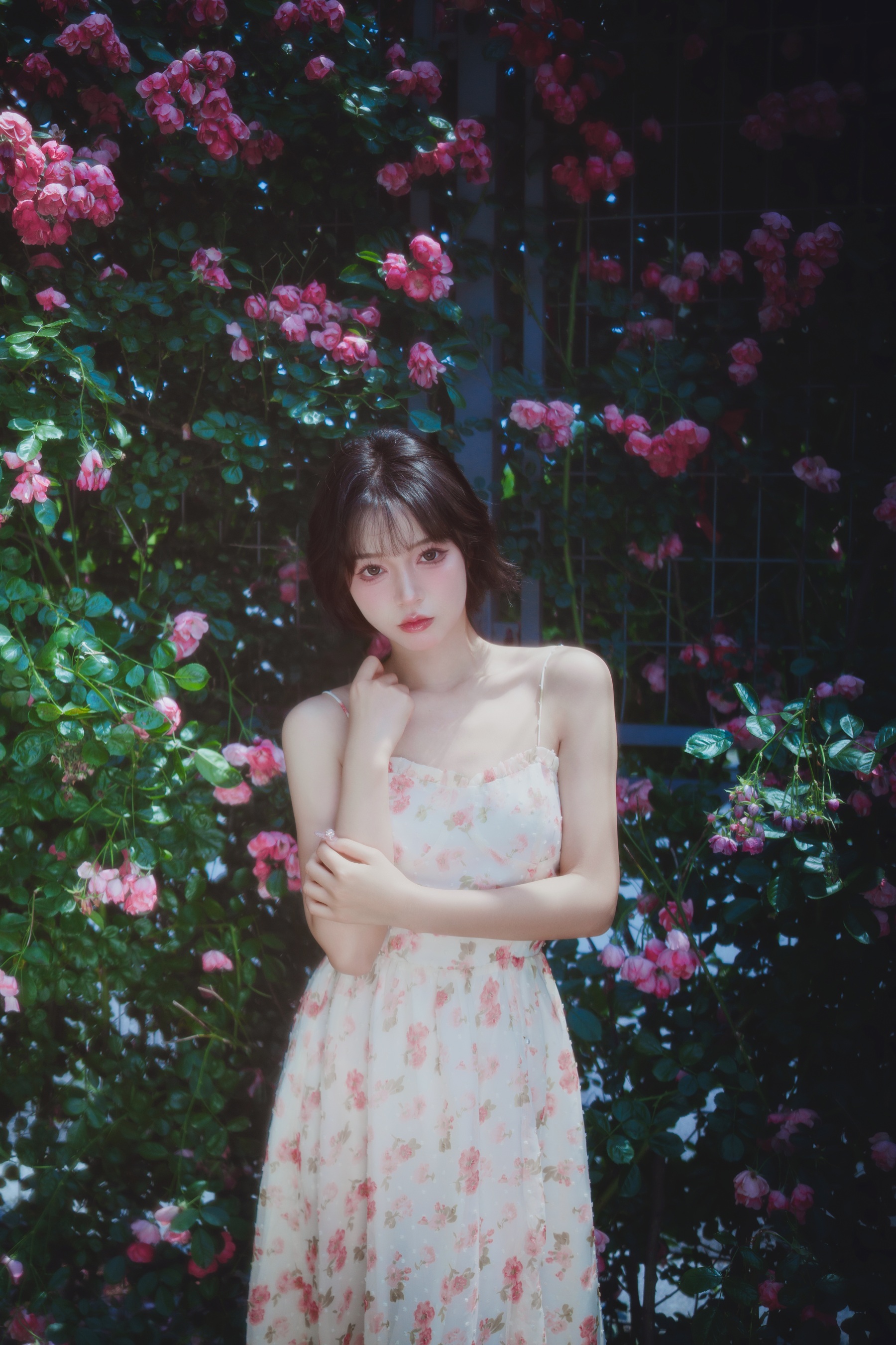 生如夏花 Disexi思宁
