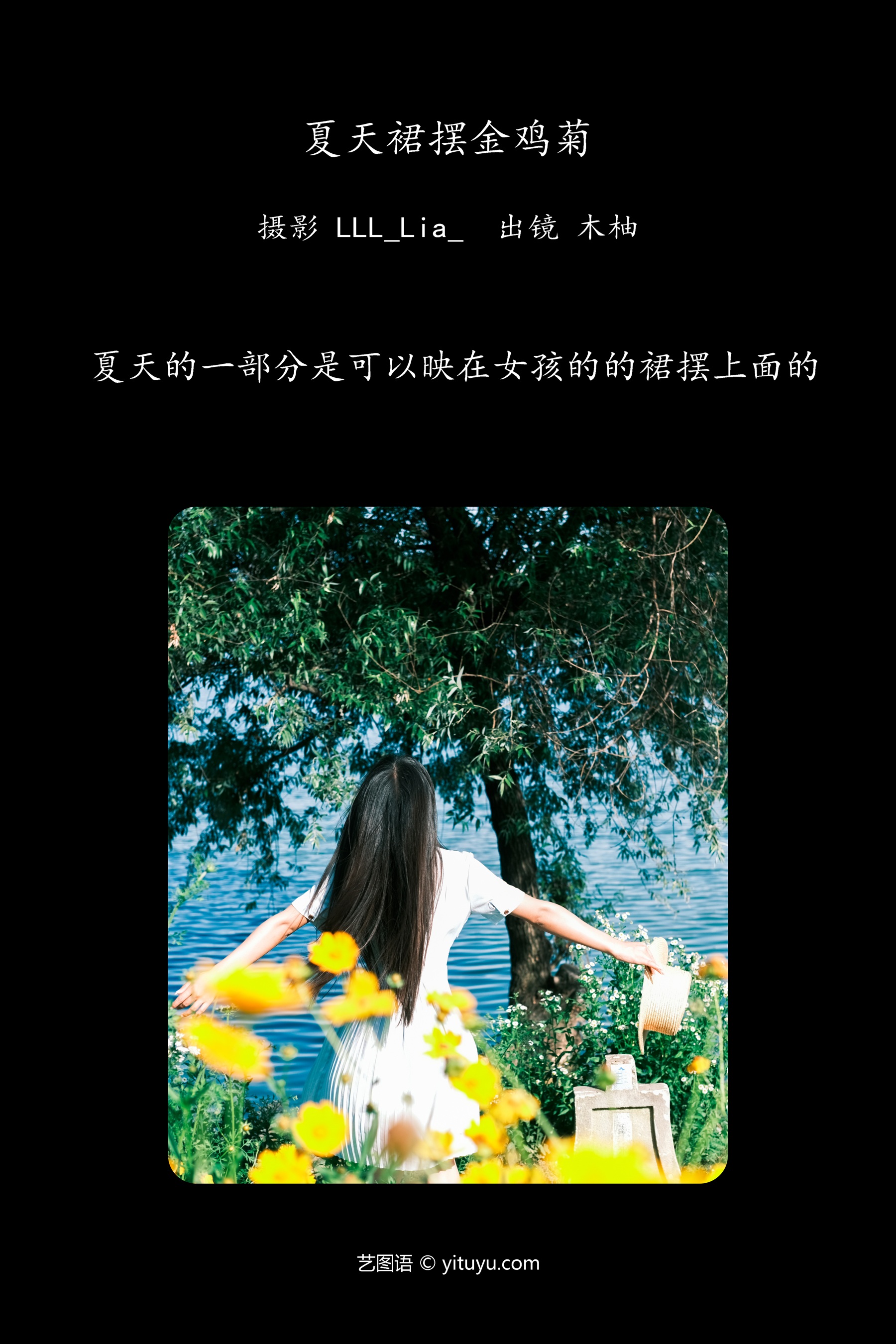 夏天裙摆金鸡菊 木柚柚