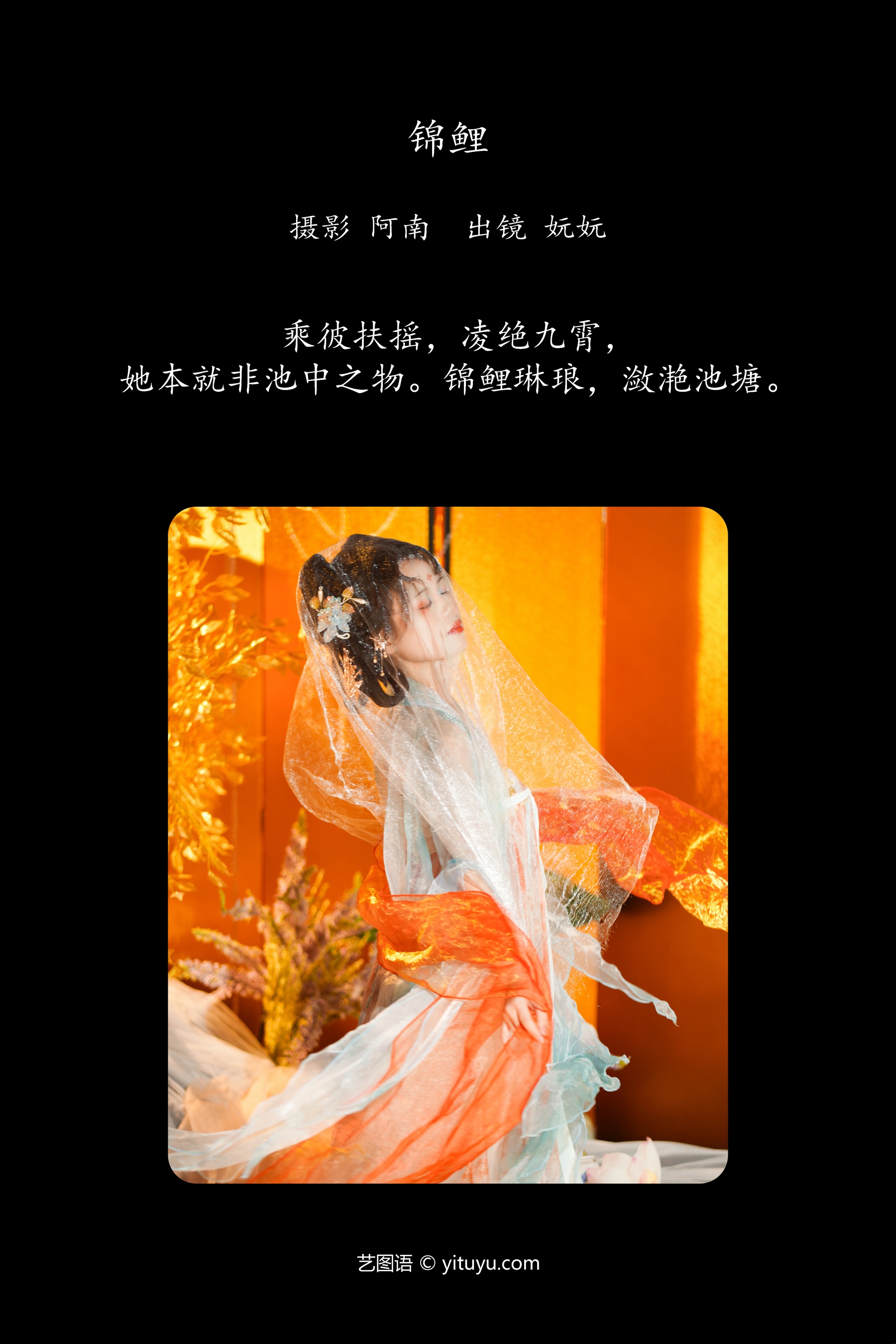 锦鲤 是妧妧吖