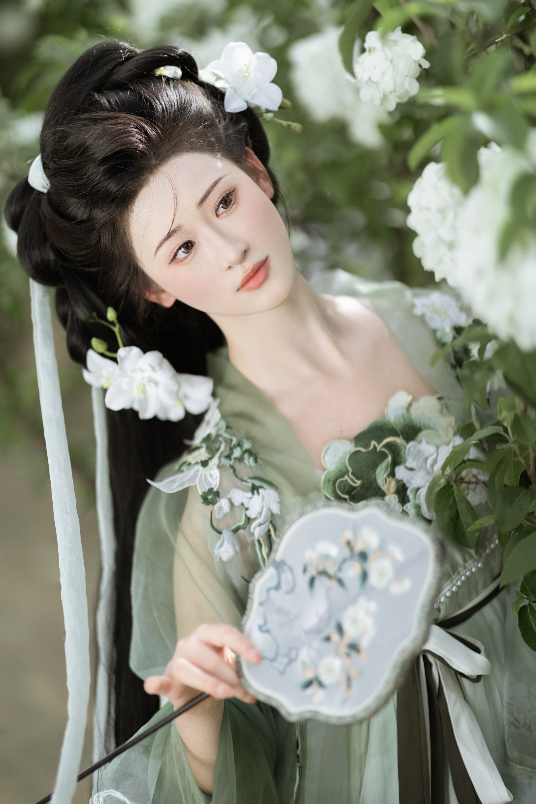 玉绣球花 江月月月
