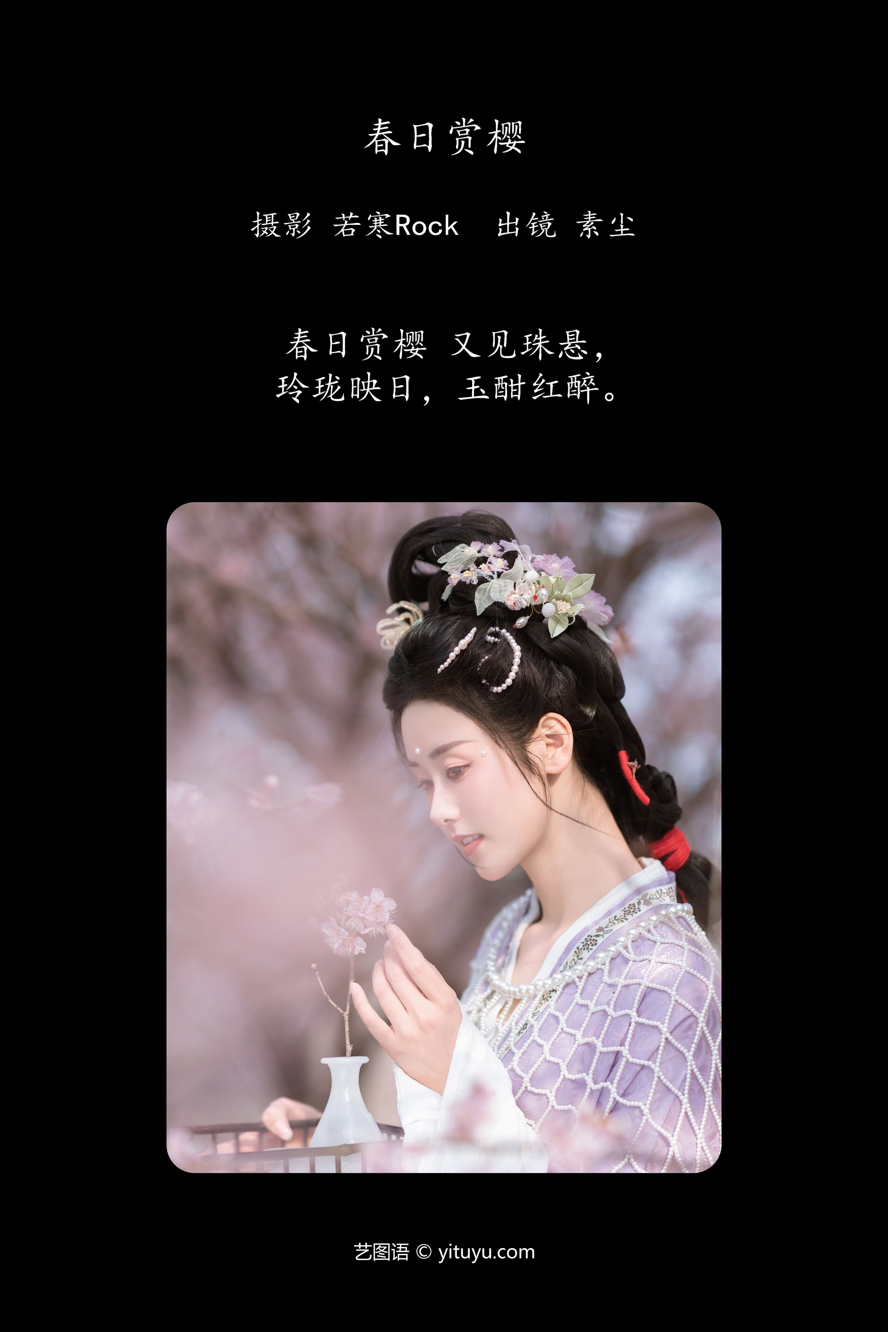 春日赏樱 人间月-素尘