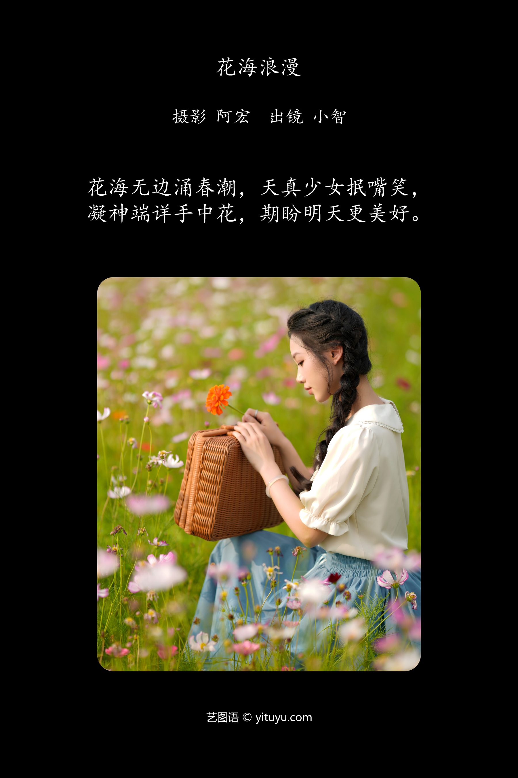 花海浪漫 小智小智