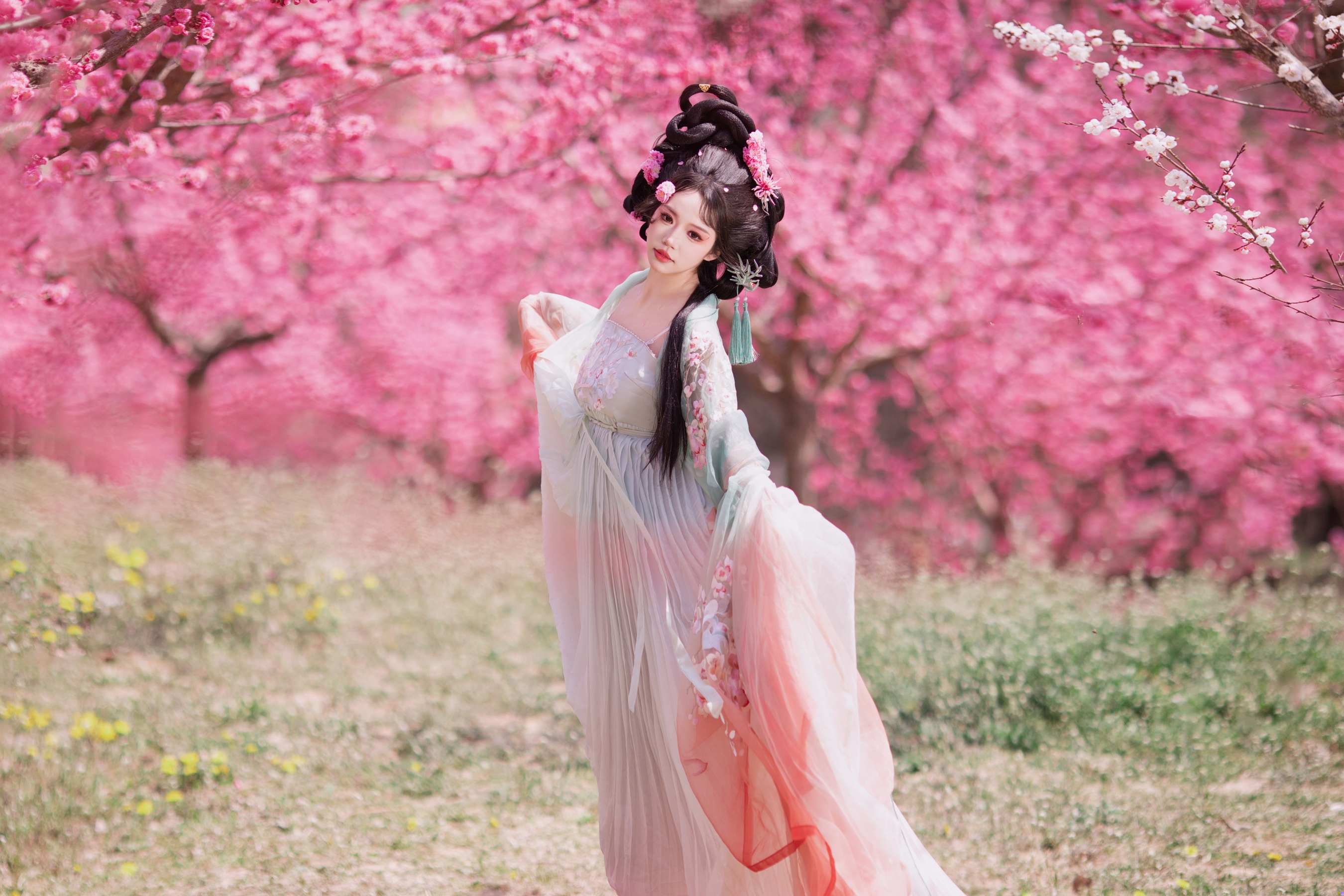 十二花神之梅花 欢欢