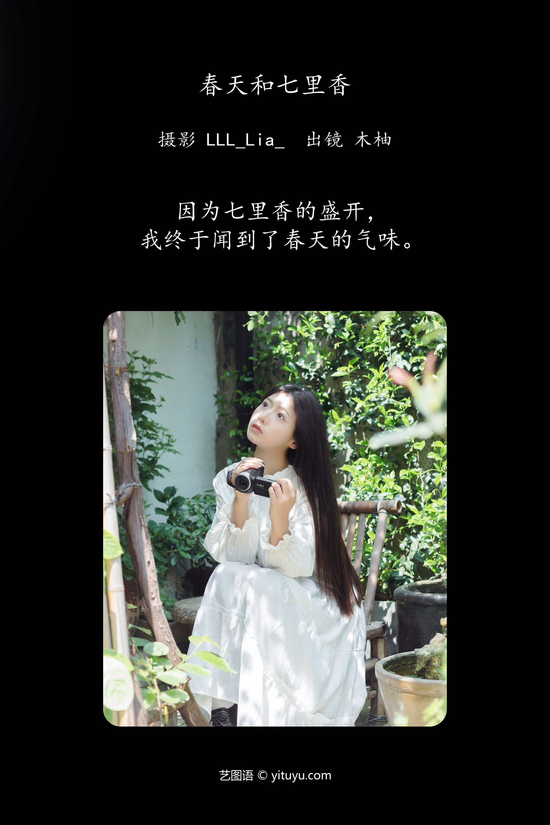 春天和七里香 木柚柚