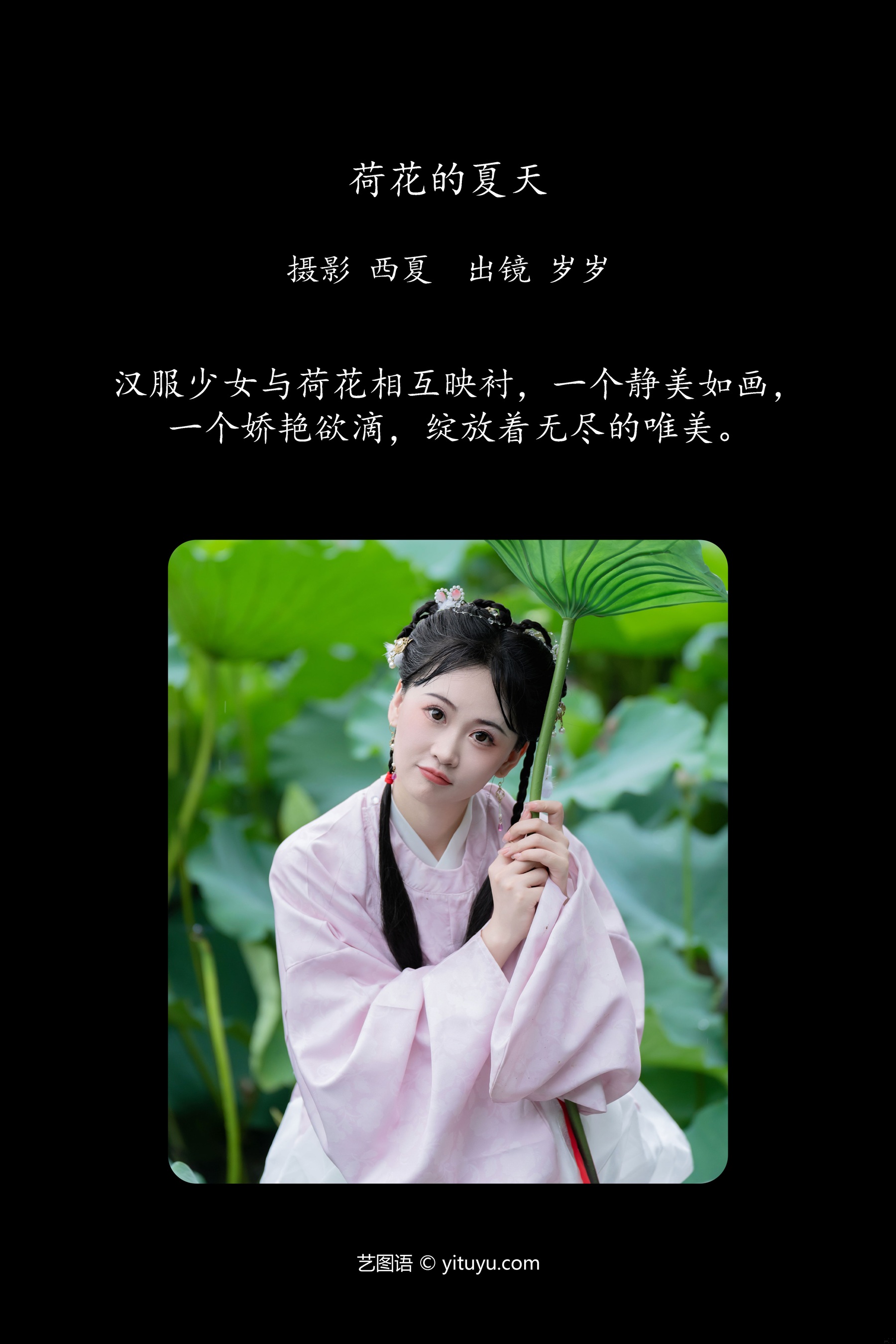 荷花的夏天 湫一只岁岁