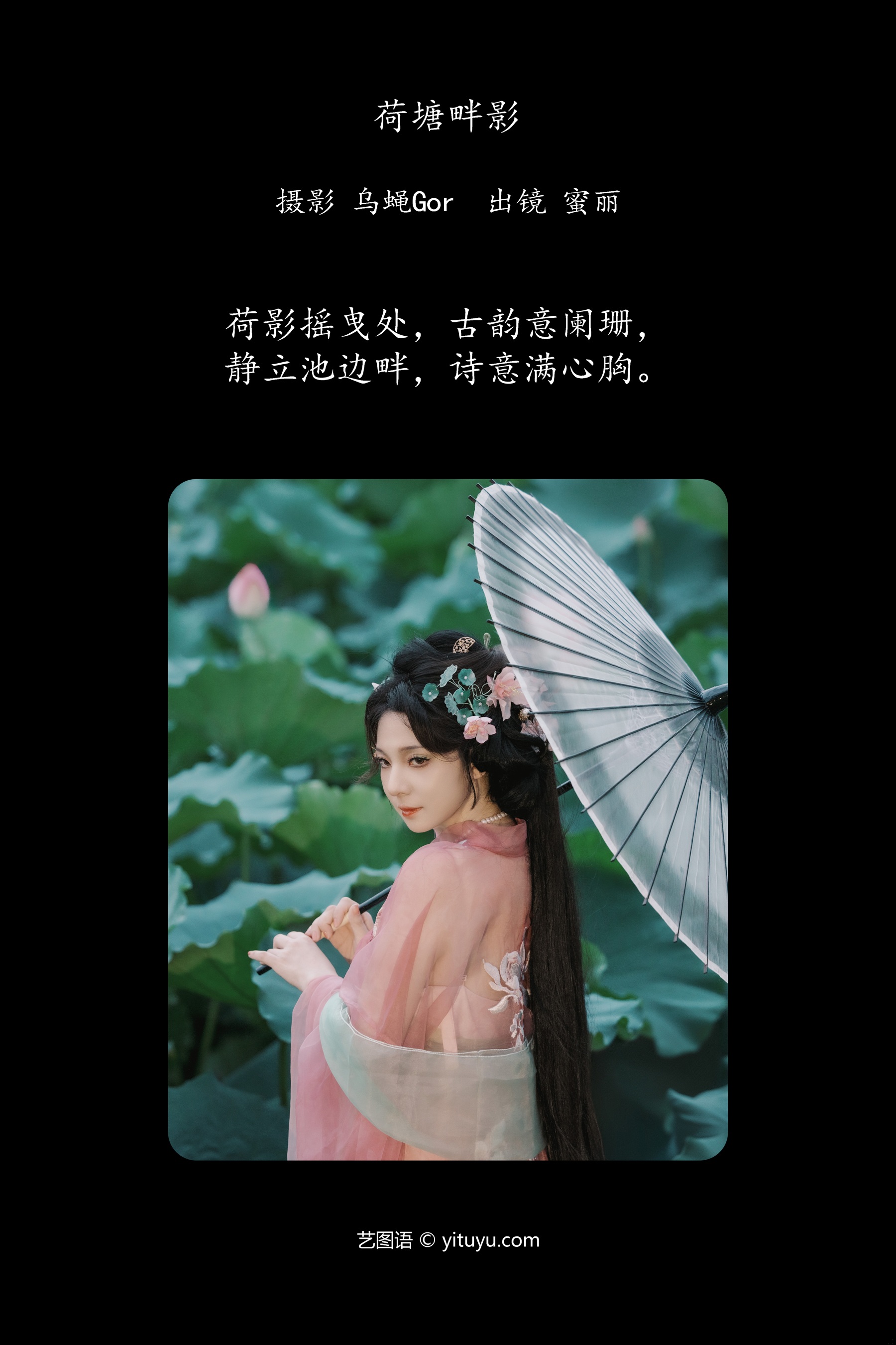 荷塘畔影 MINI蜜丽