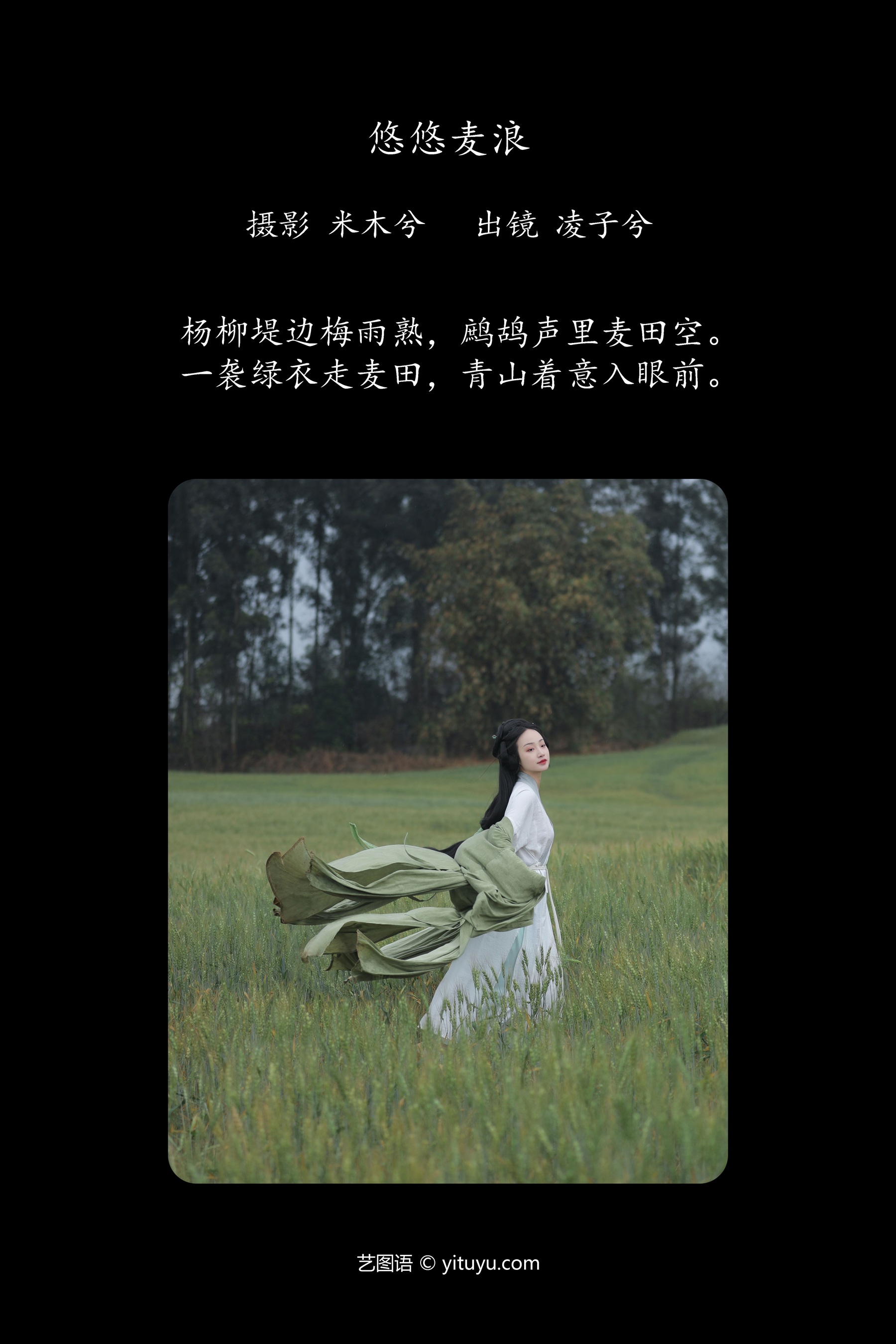 悠悠麦浪 凌子兮