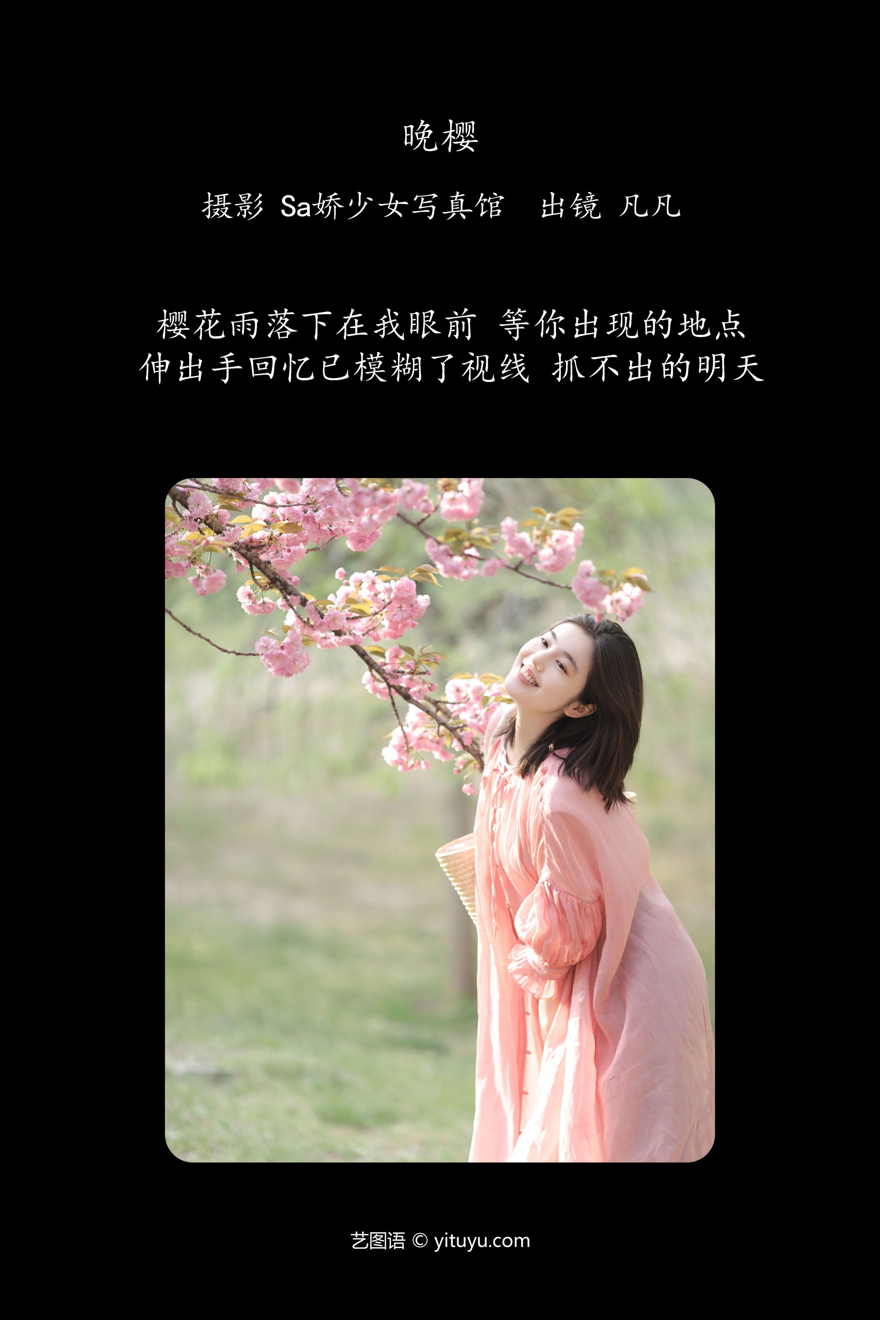 晚樱 凡凡