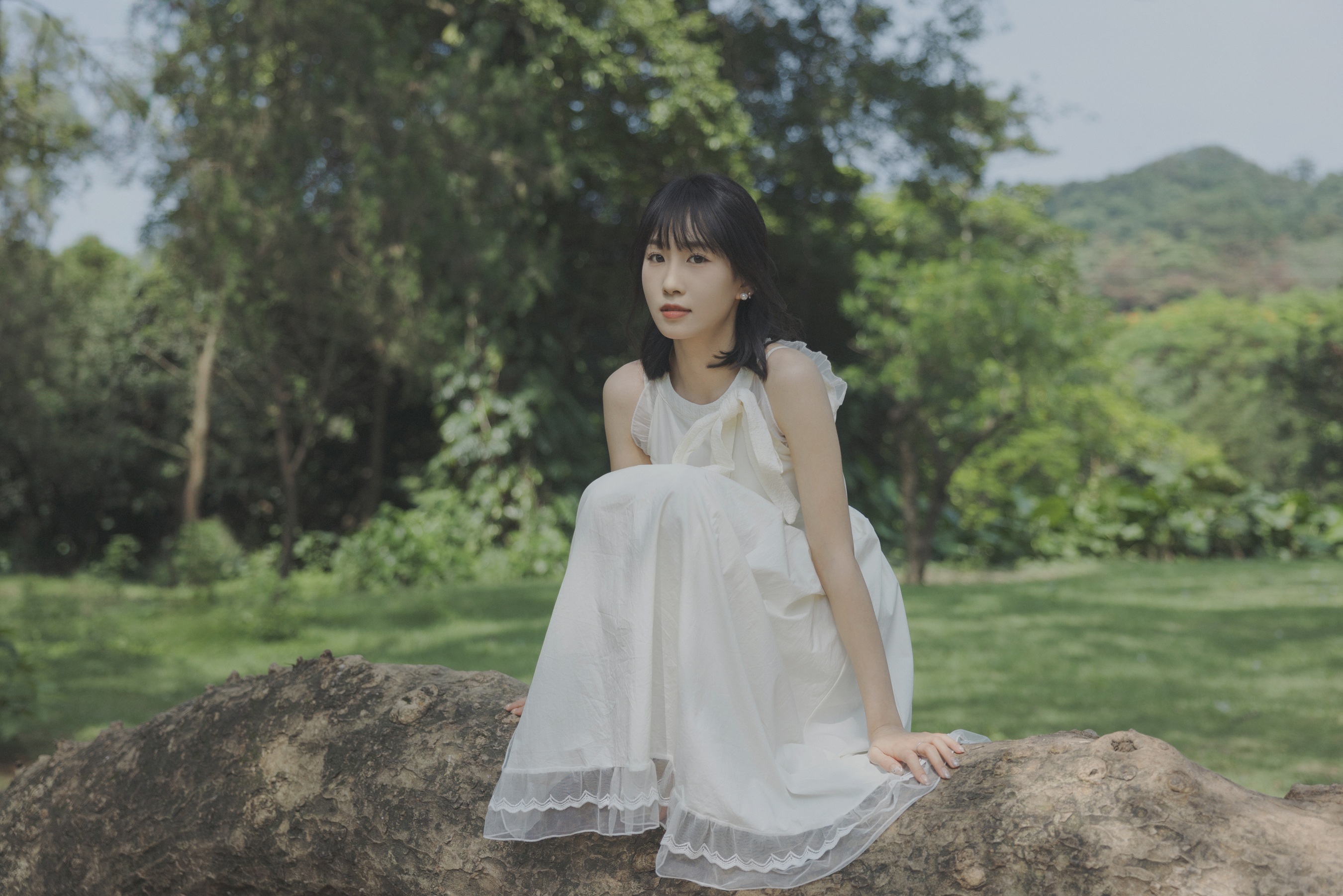 绿野仙踪 橙子