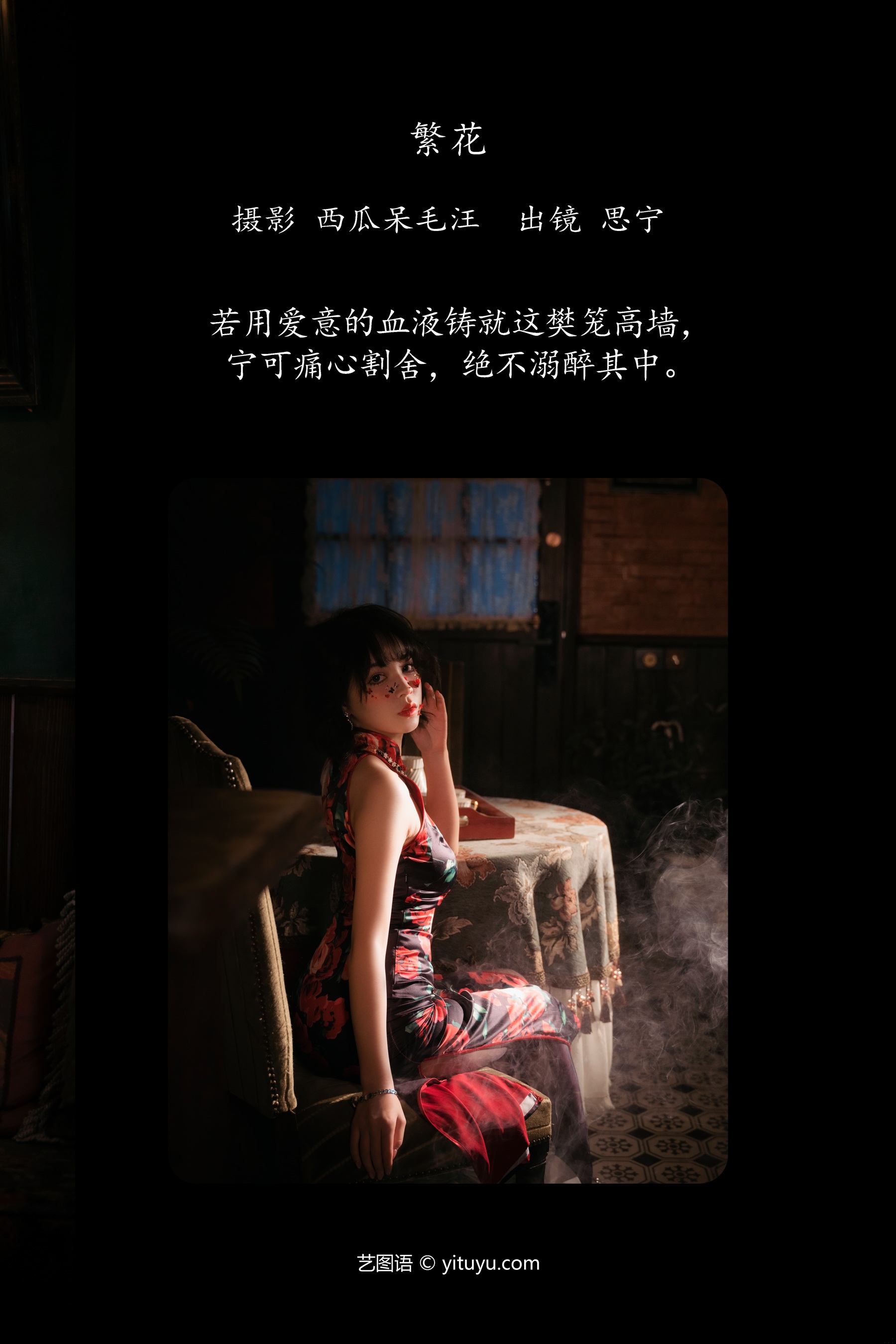 繁花 Disexi思宁