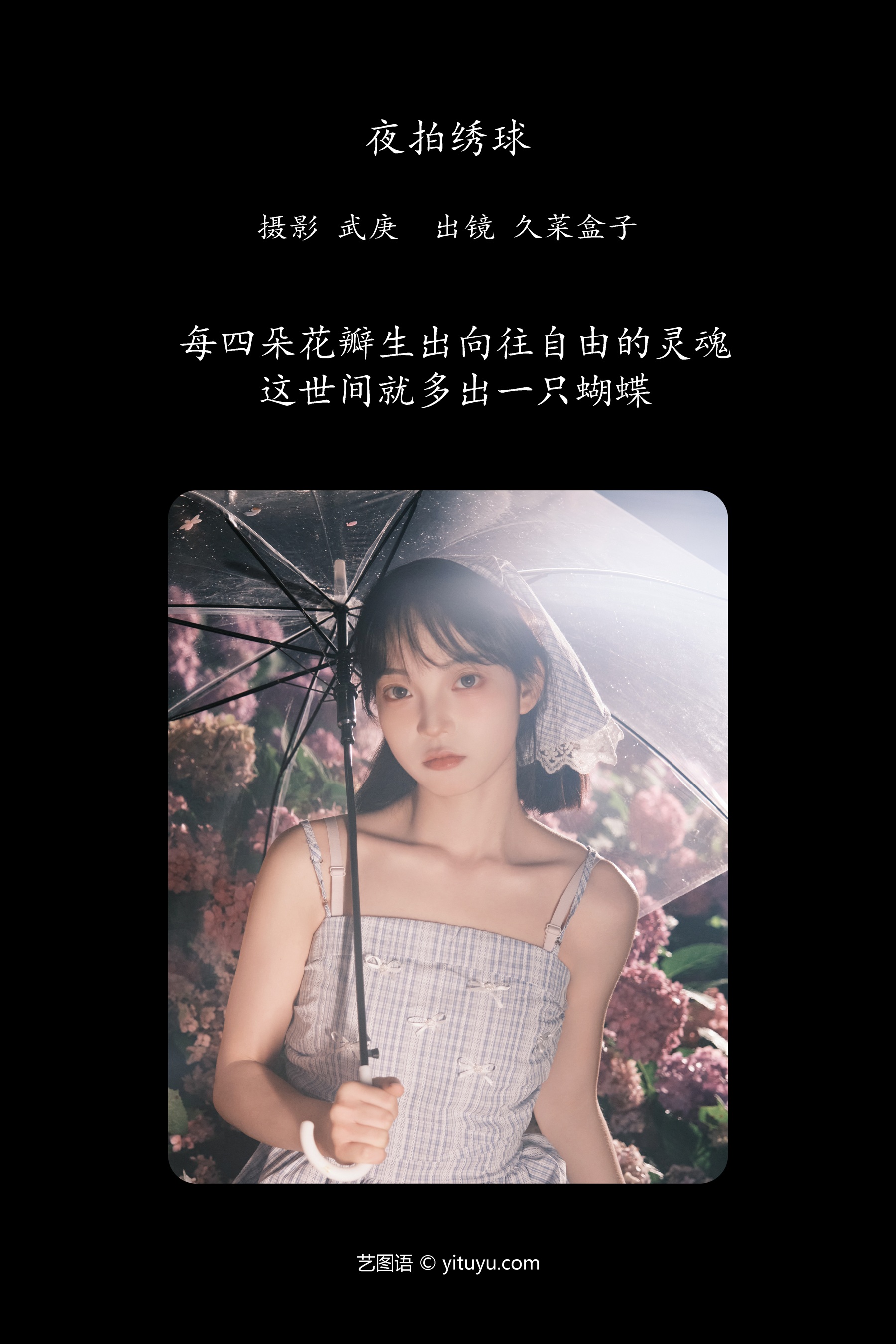 夜拍绣球 久菜盒子