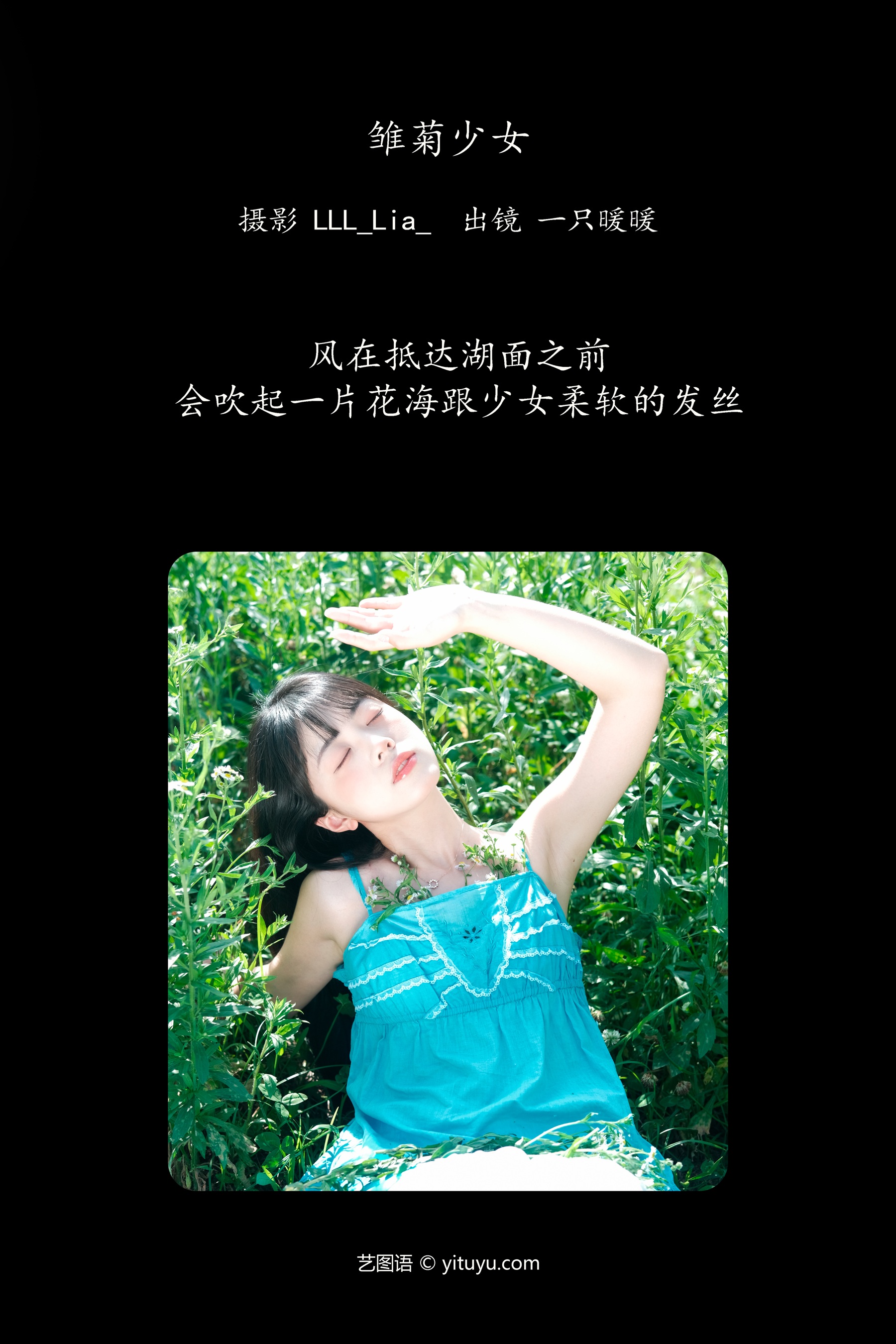 雏菊少女 一只暖暖