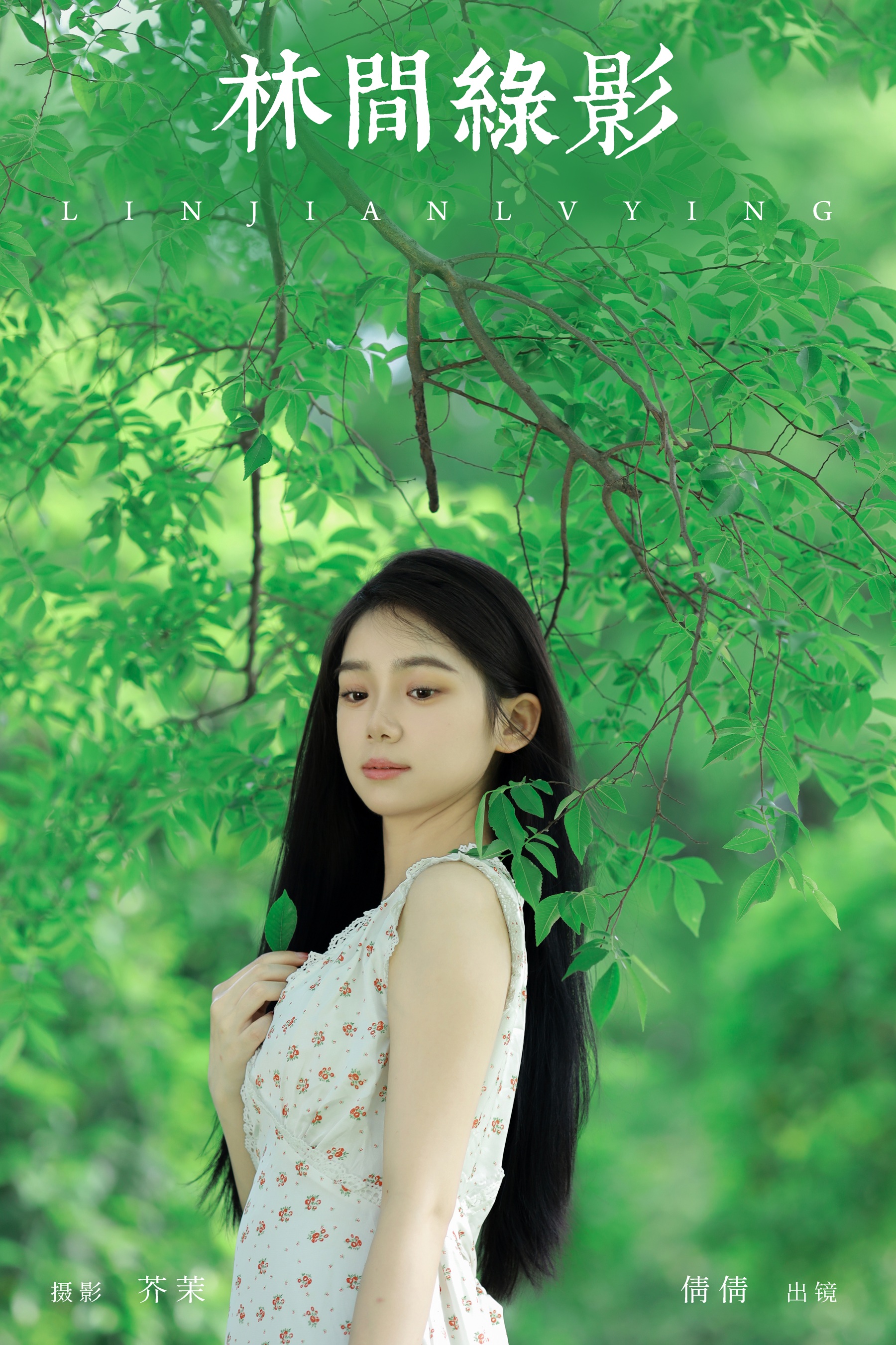 林间绿影 我不刷鸟