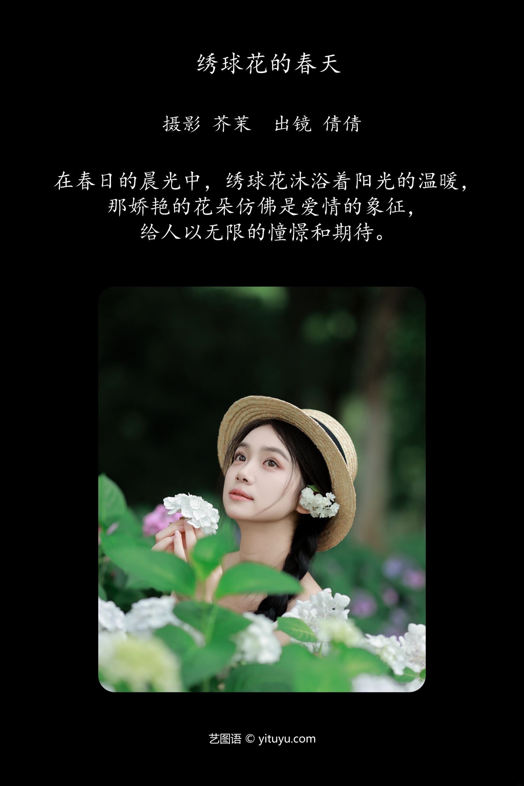 绣球花的春天 我不刷鸟