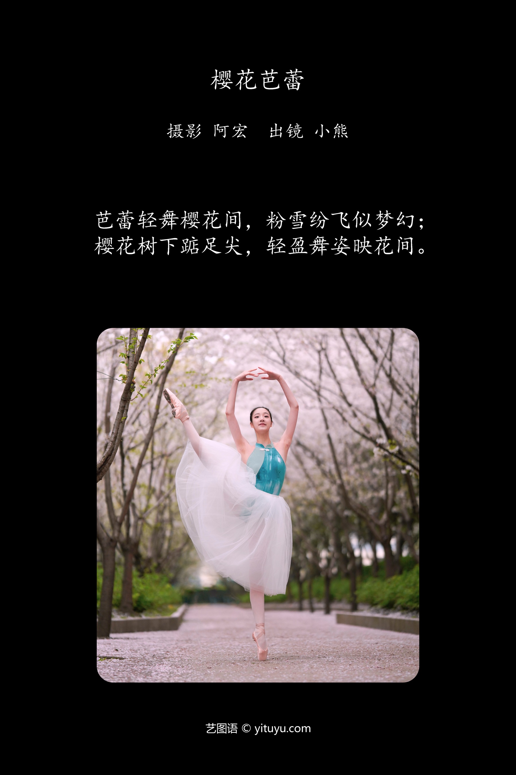 樱花芭蕾 小熊