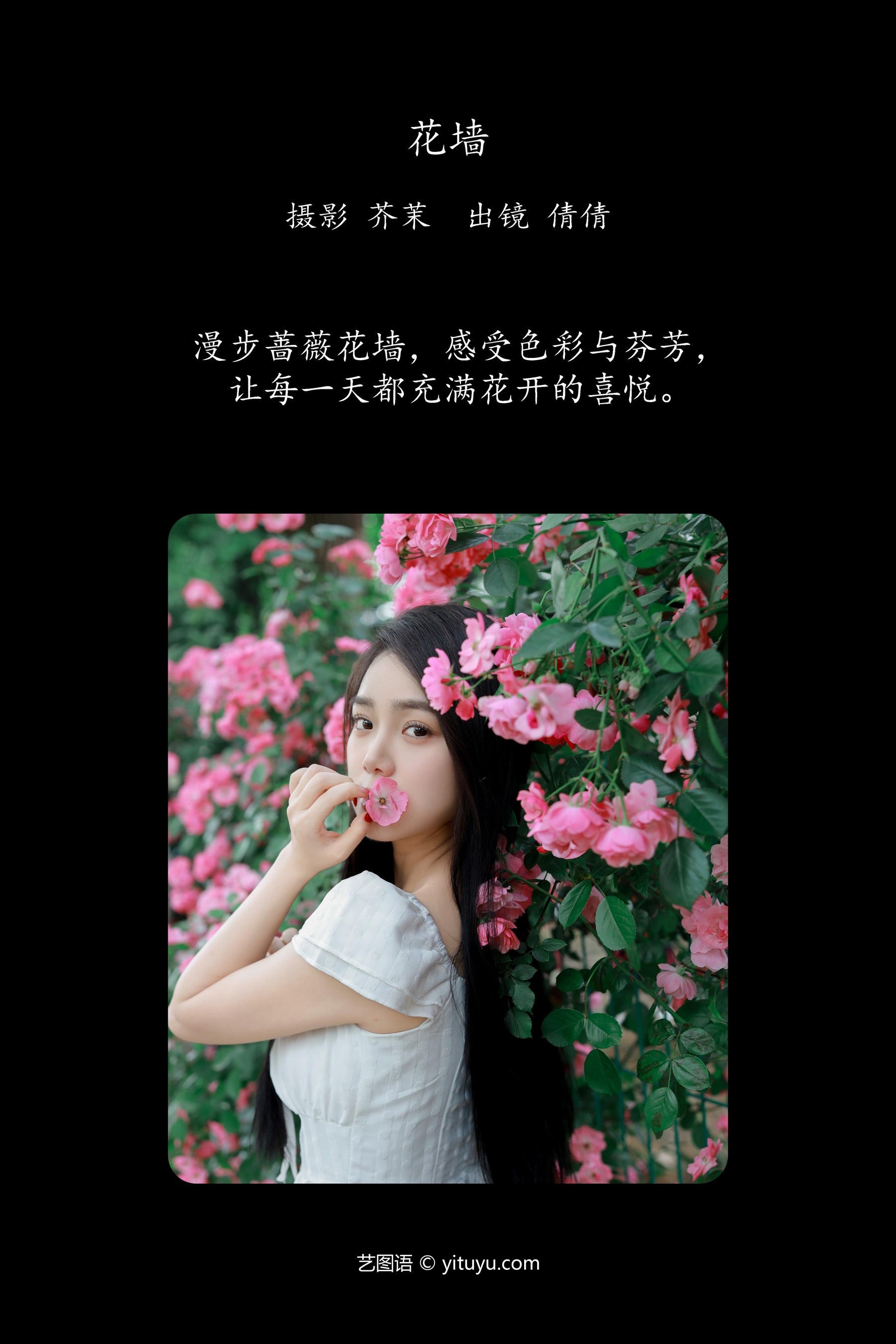 花墙 我不刷鸟