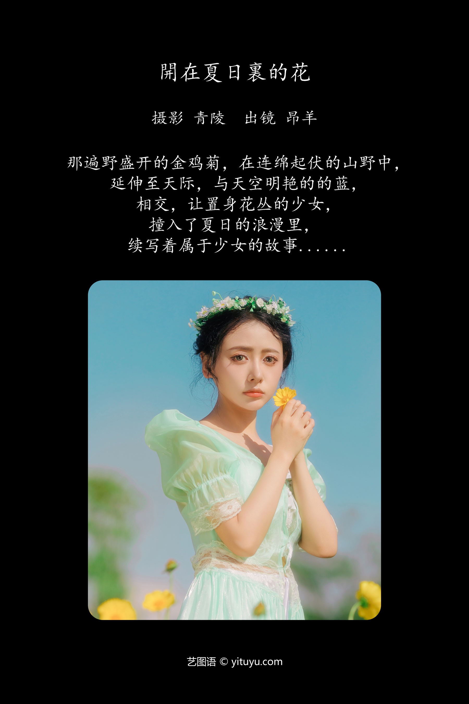 开在夏日里的花 是昂羊呀