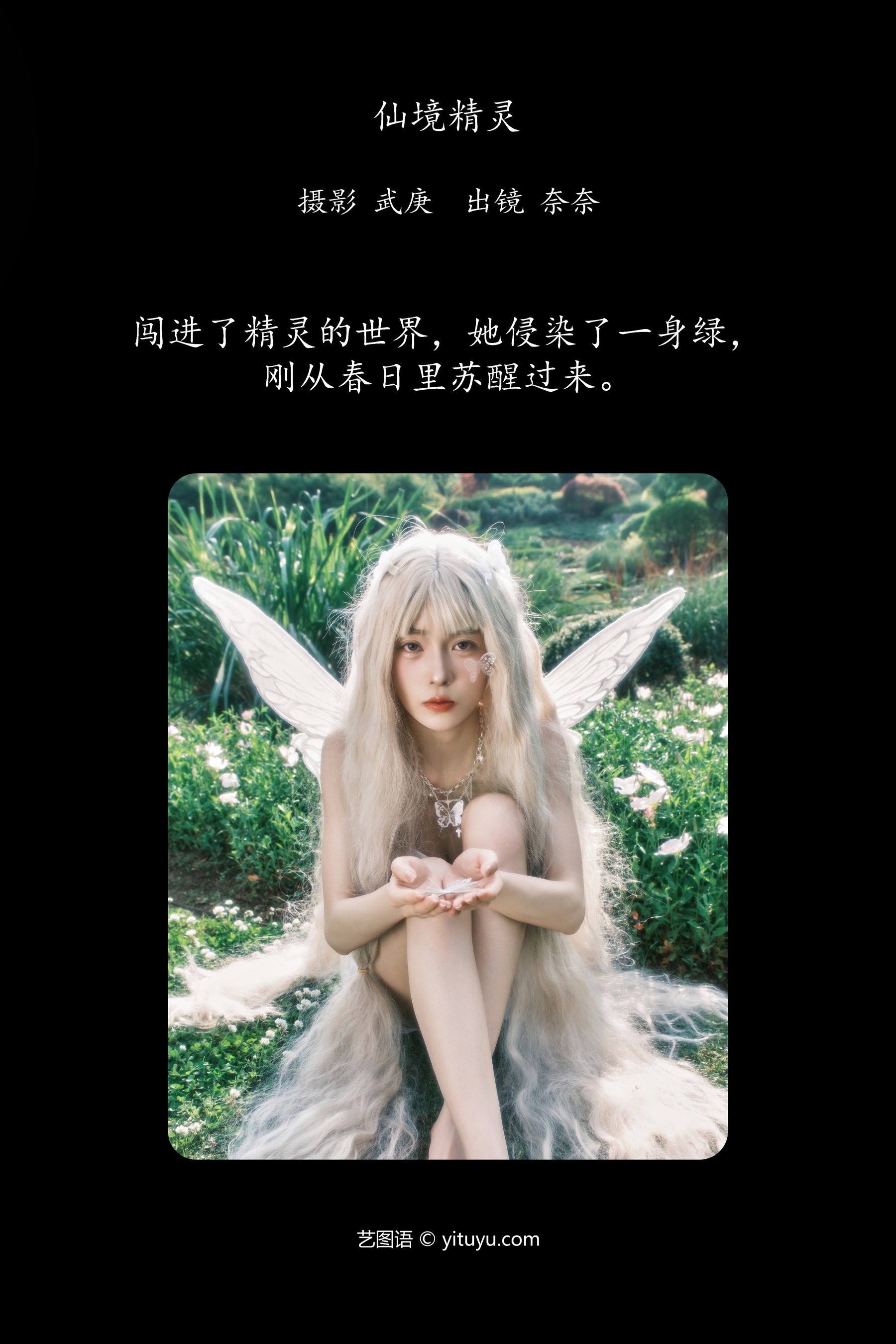 仙境精灵 小松麻奈