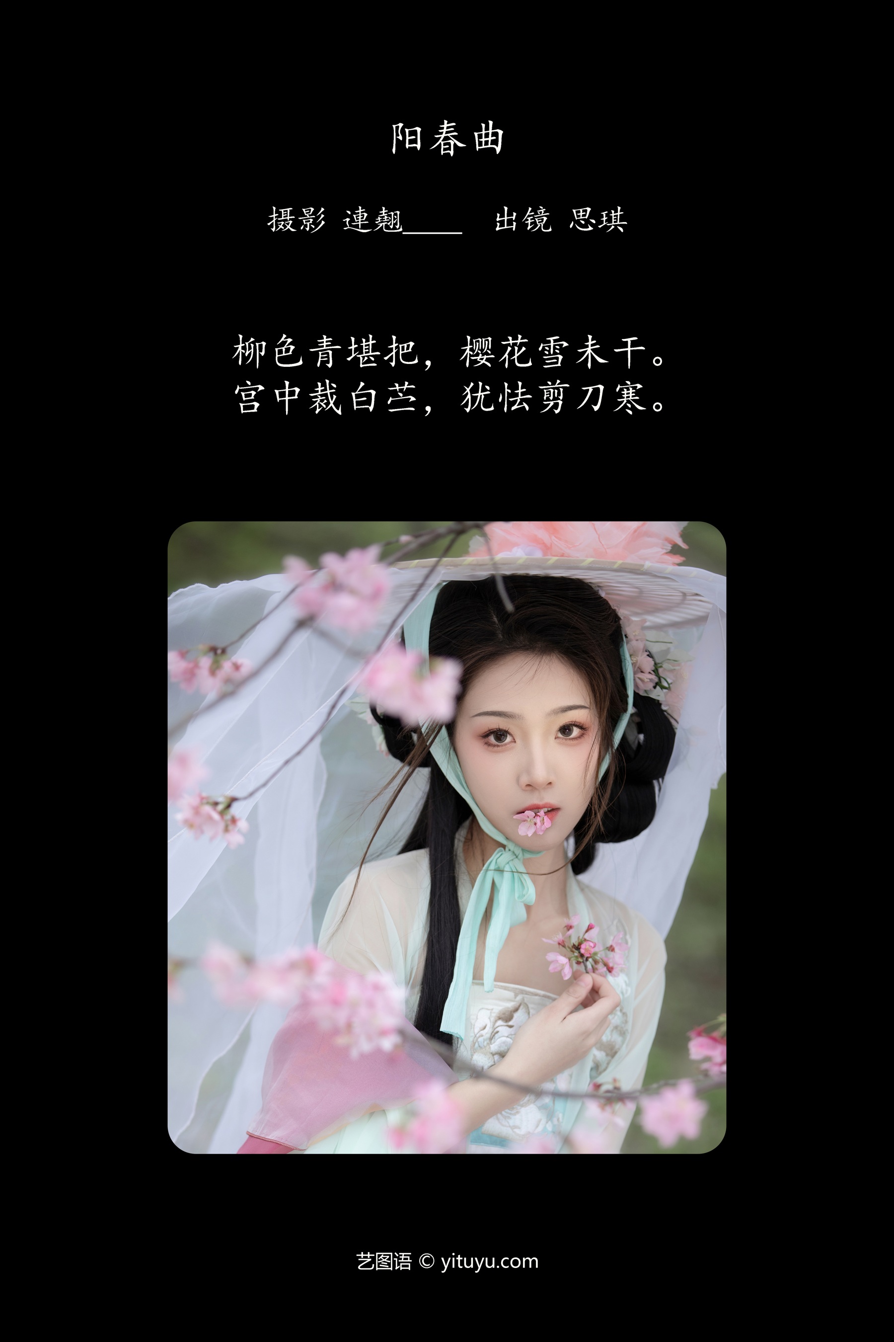 阳春曲 芝芝琪