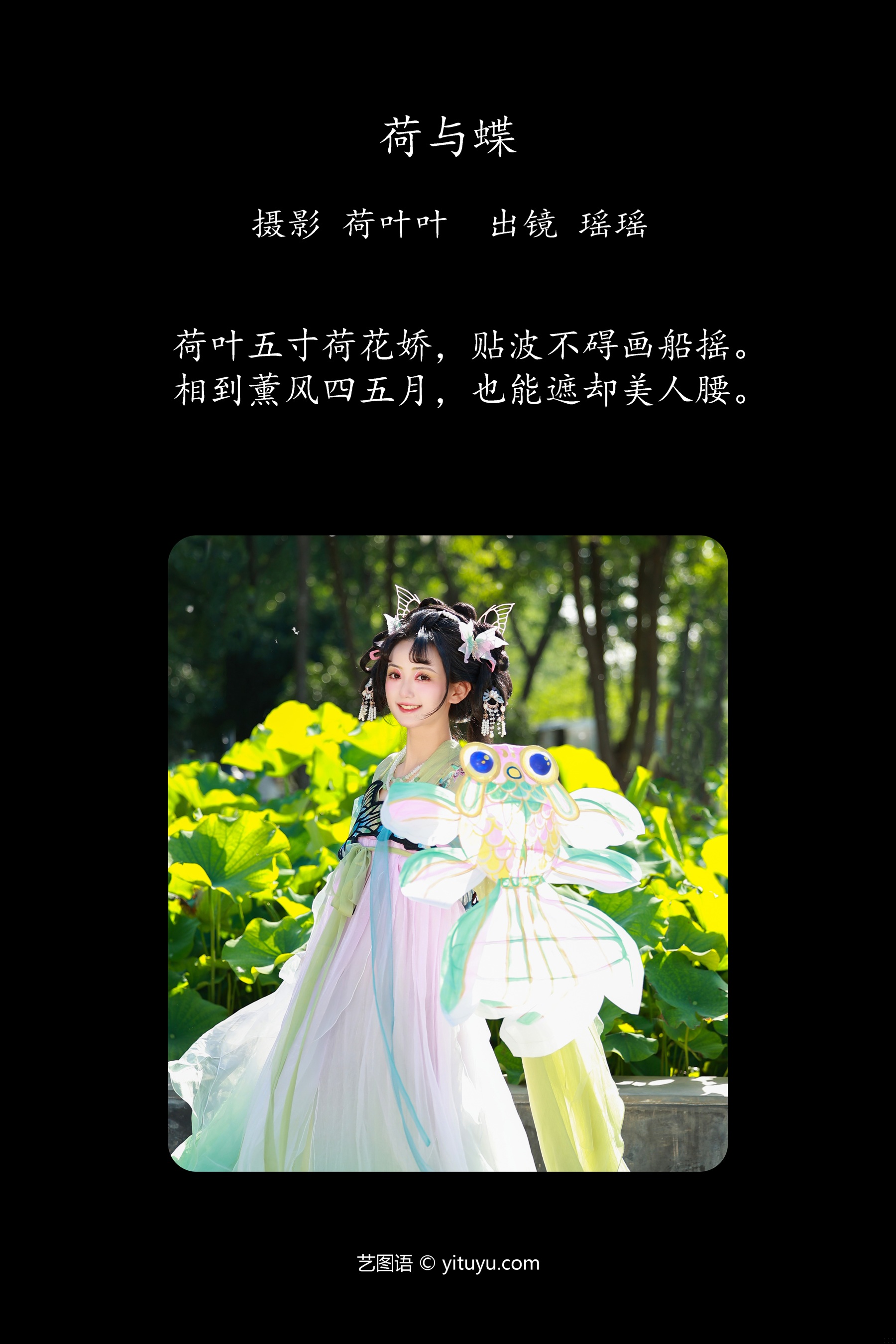 荷与蝶 软心糖。