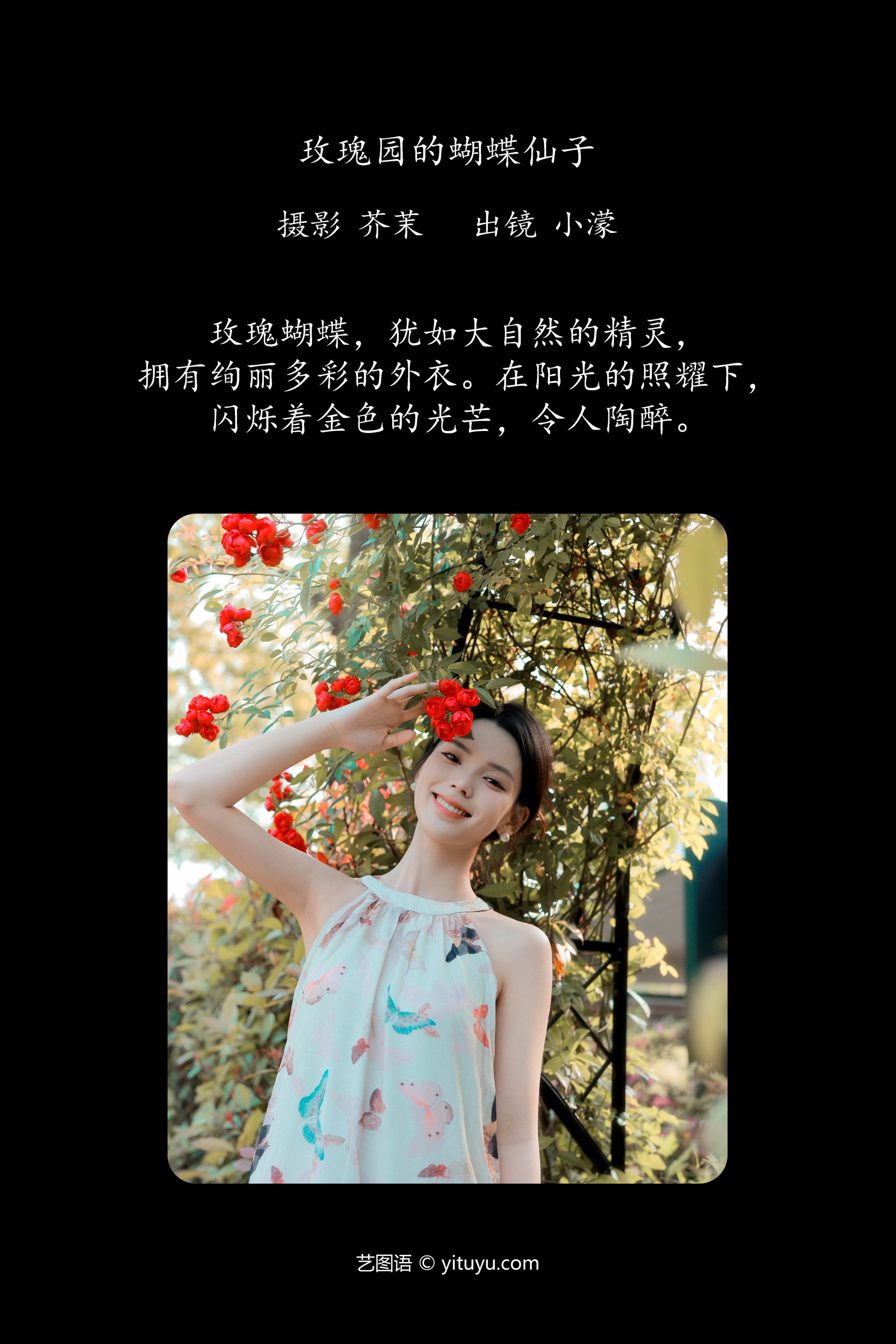 玫瑰园的蝴蝶仙子 小濛