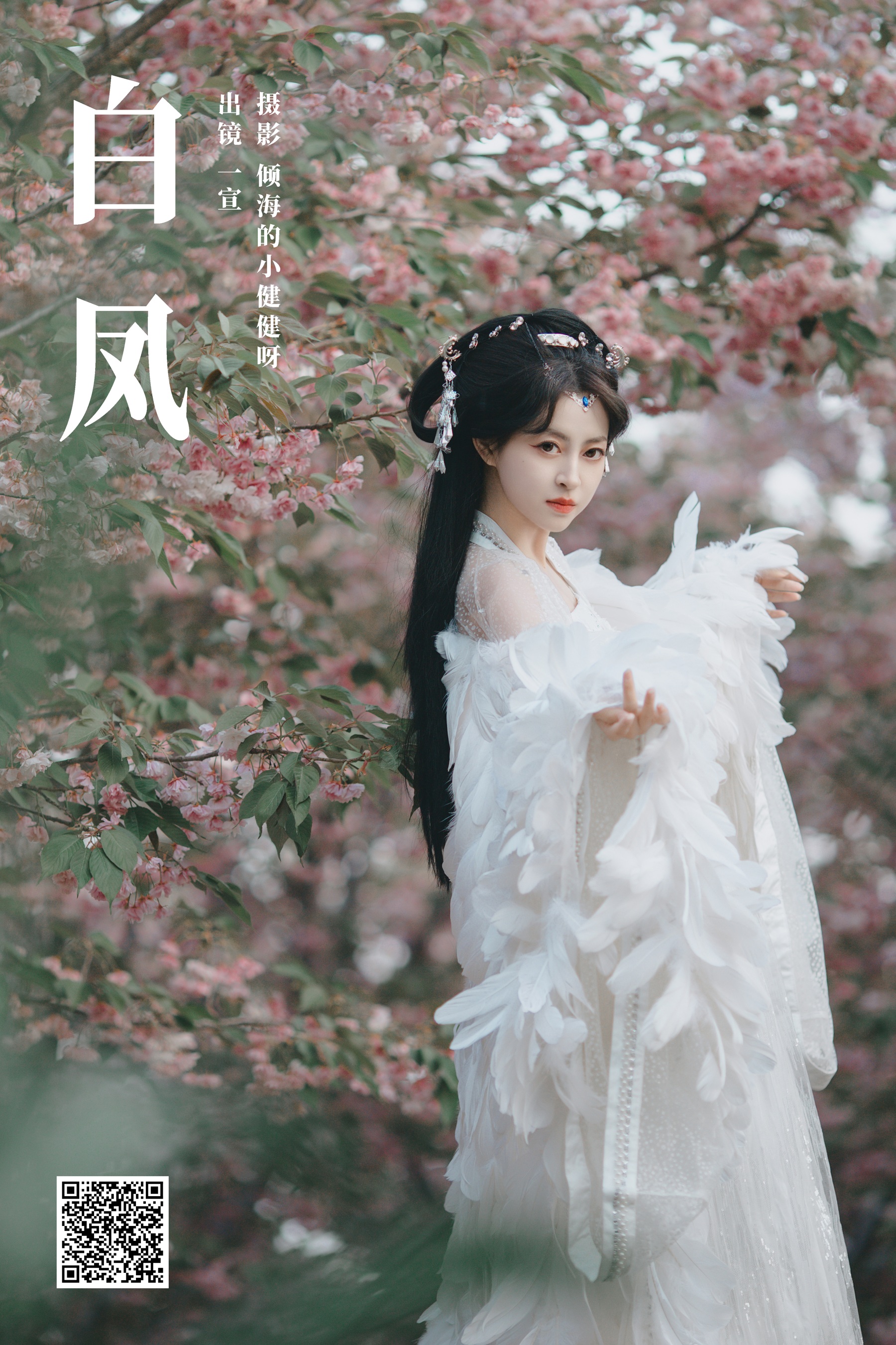 白凤 壹萱-