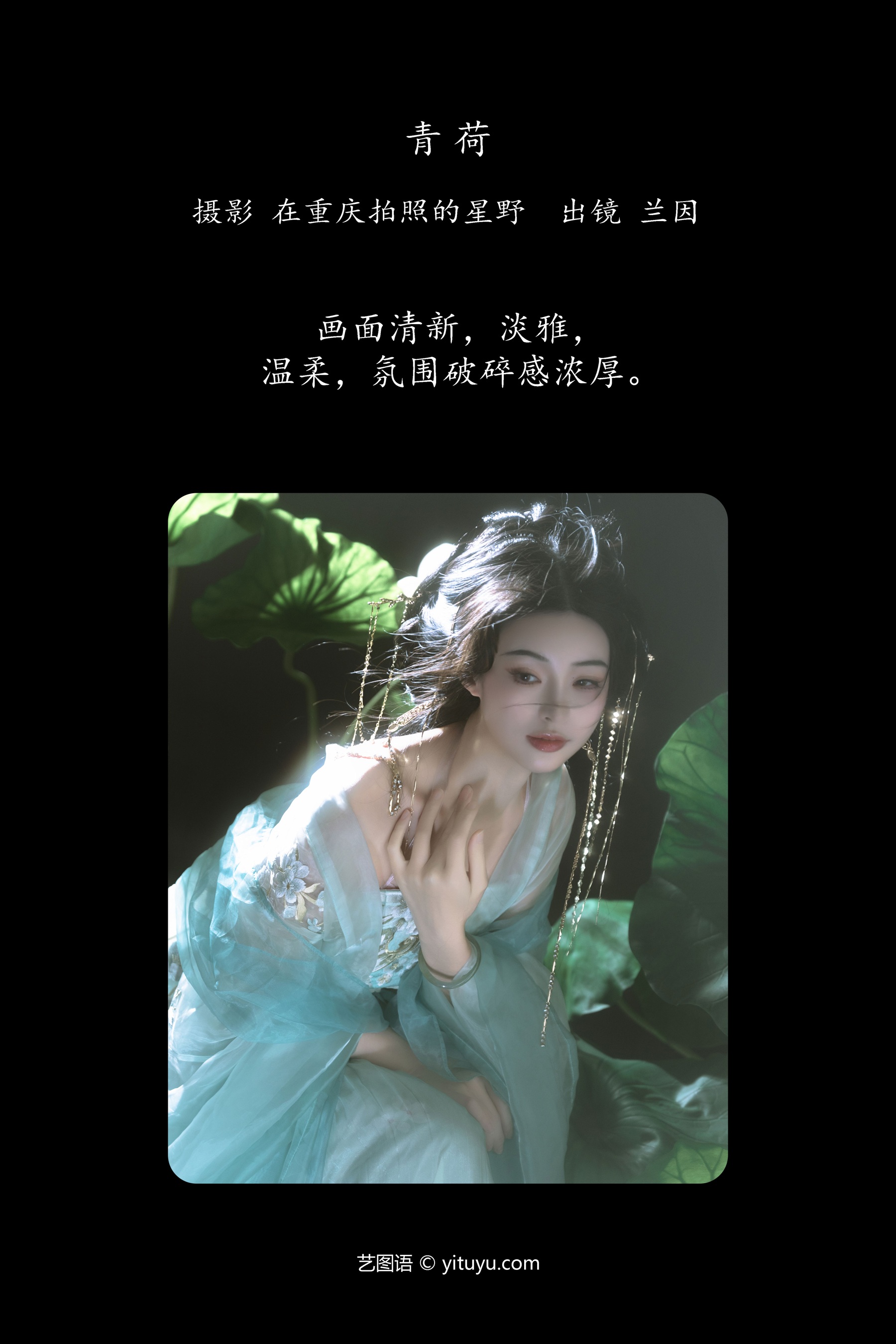 青荷 兰因
