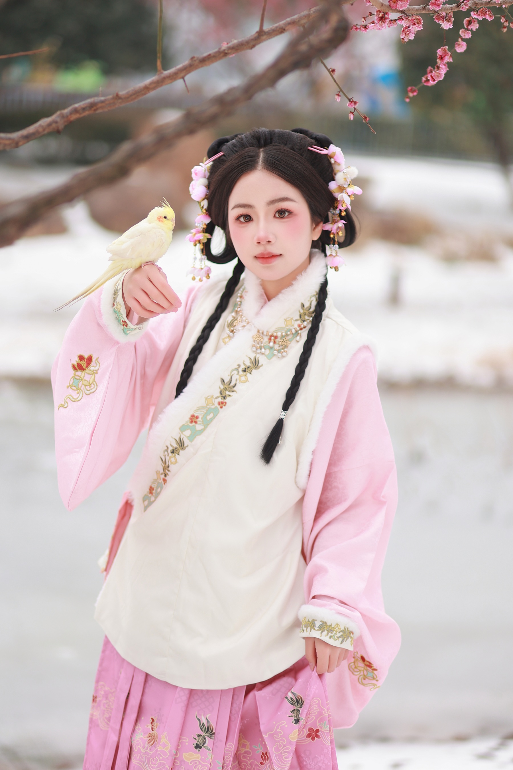 小雀仙 小杜同学