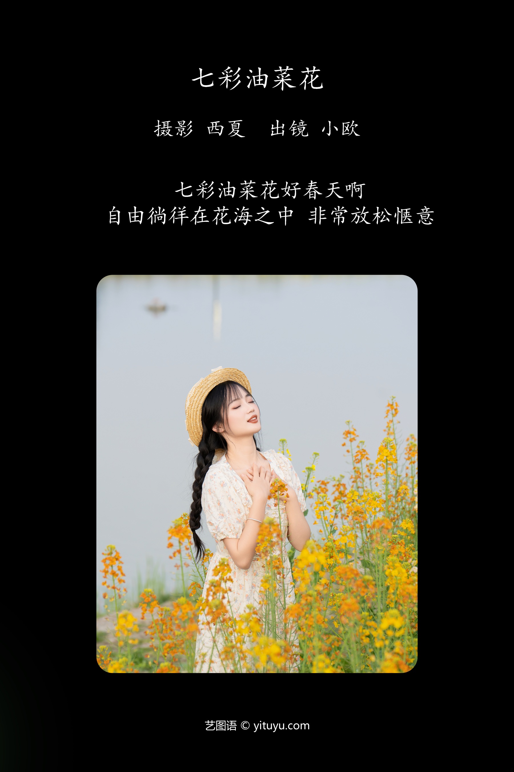 七彩油菜花 小欧O
