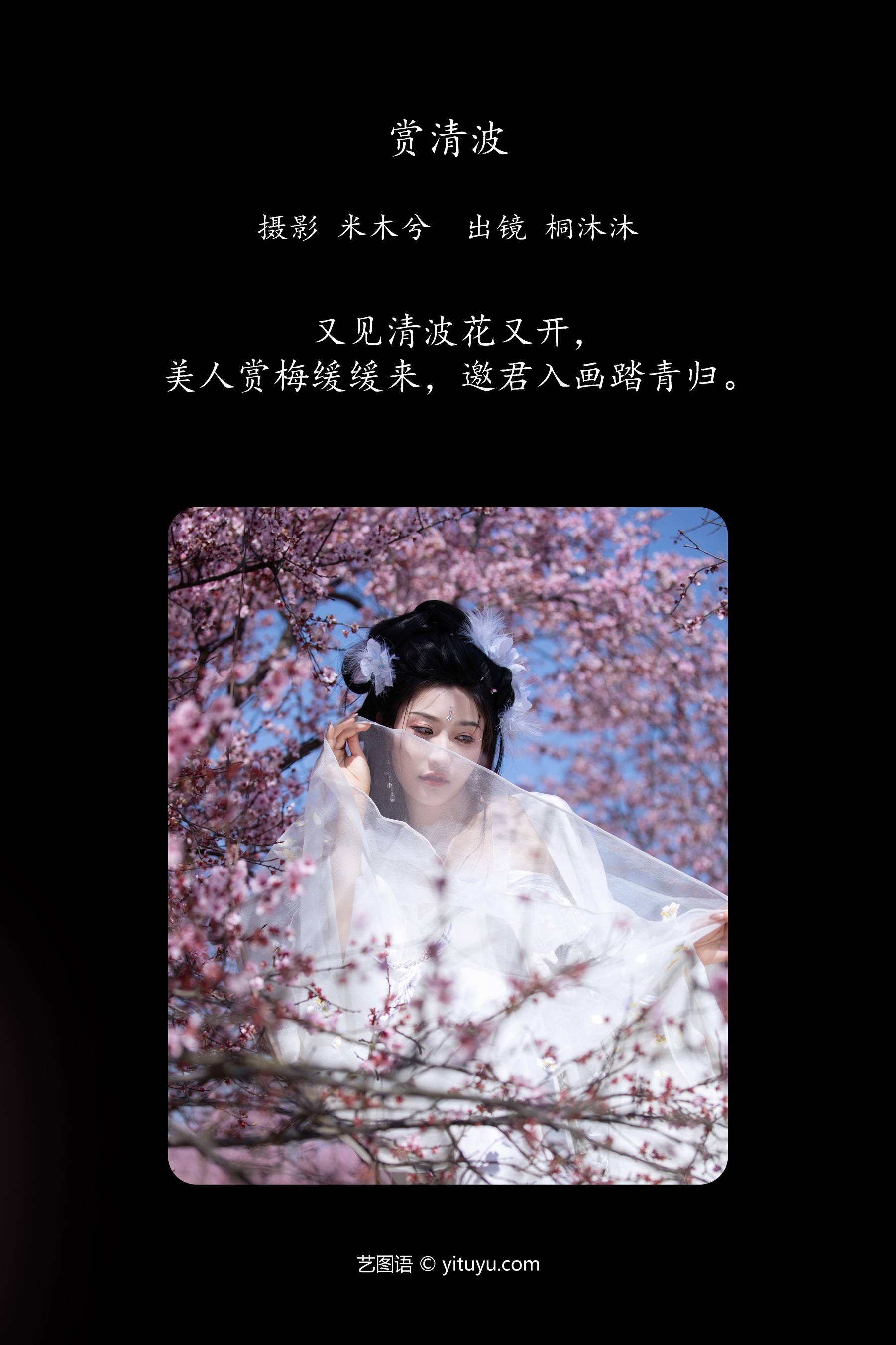 赏清波 桐沐沐