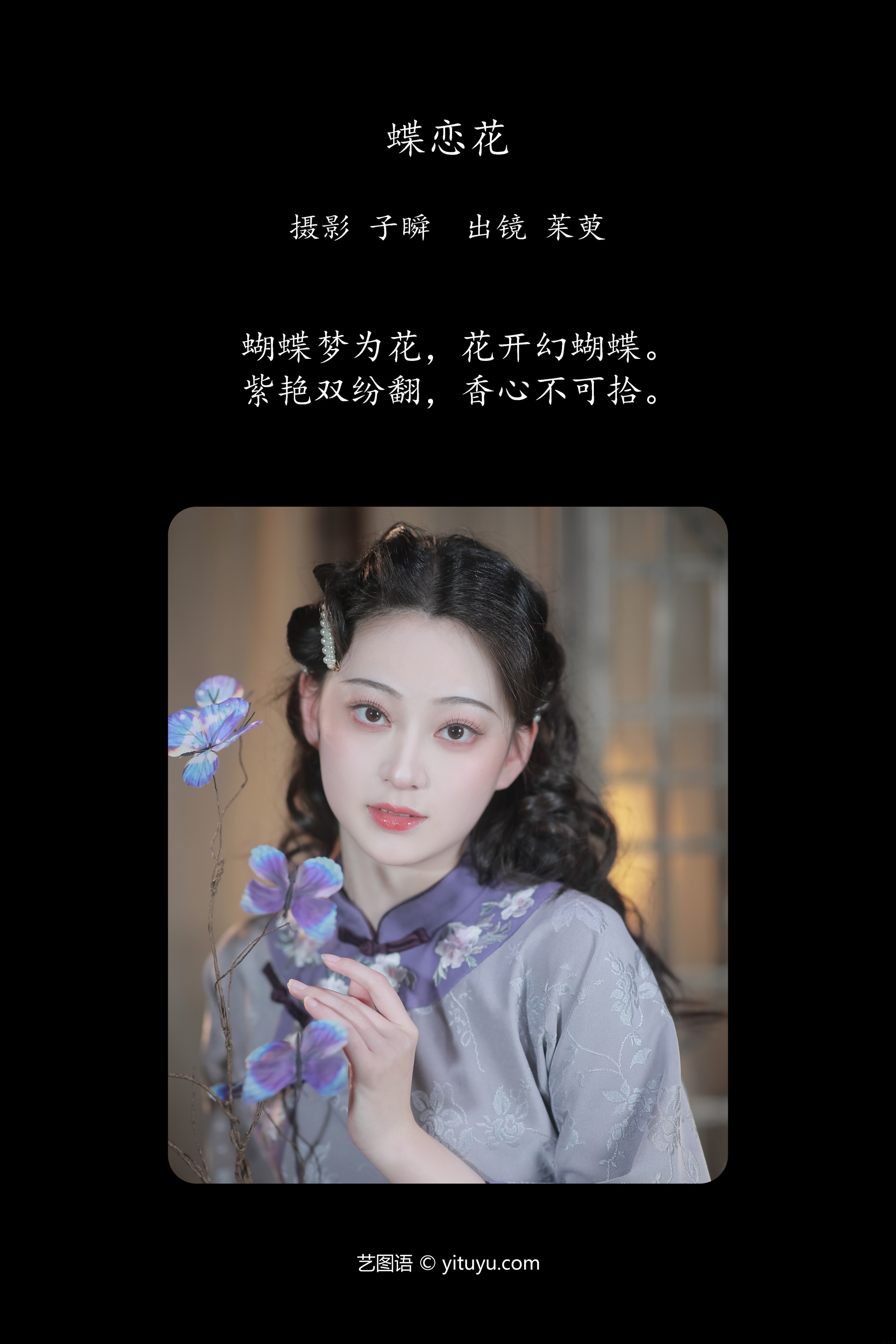 蝶恋花 茱萸