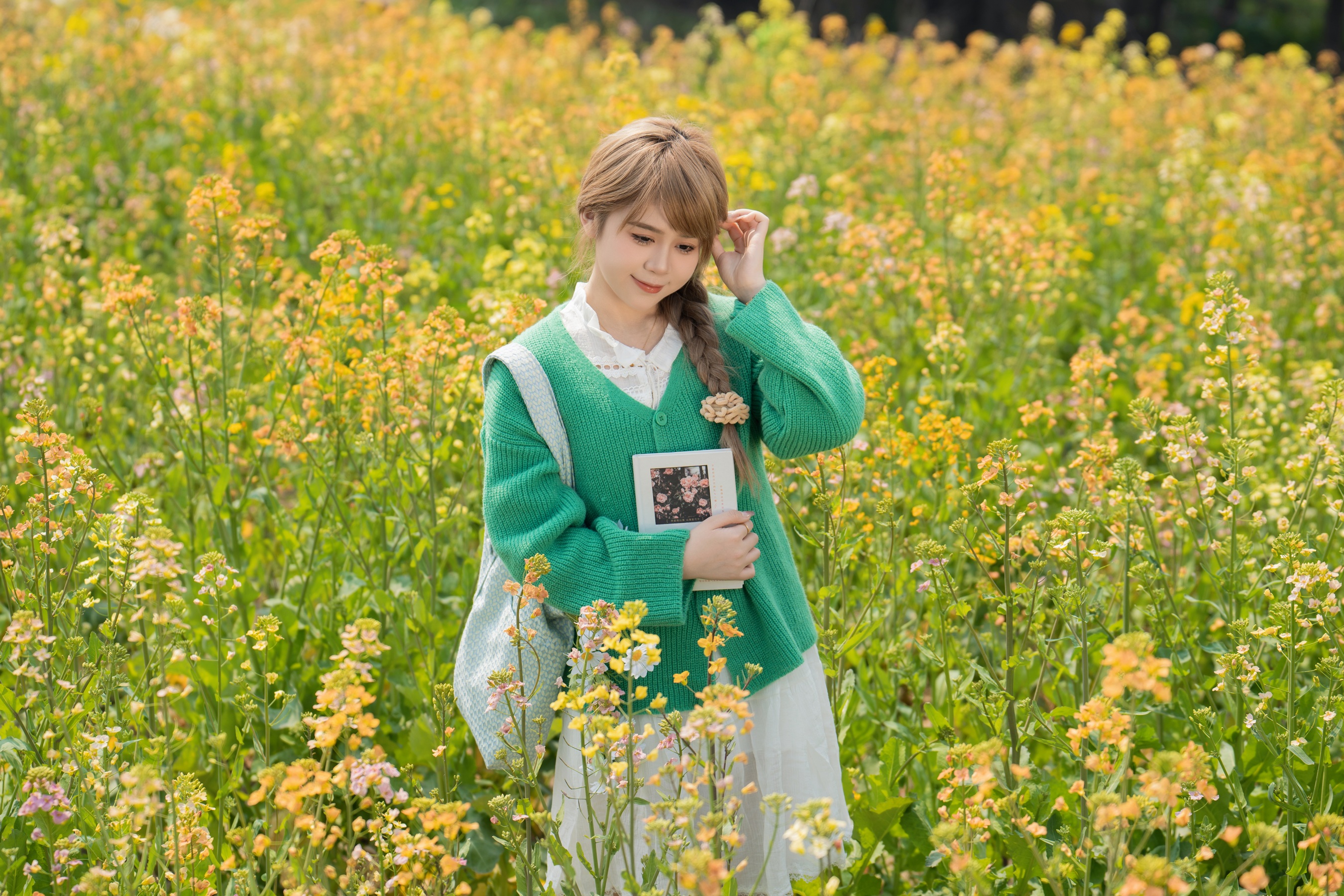 油菜花的春天 泡芙小方