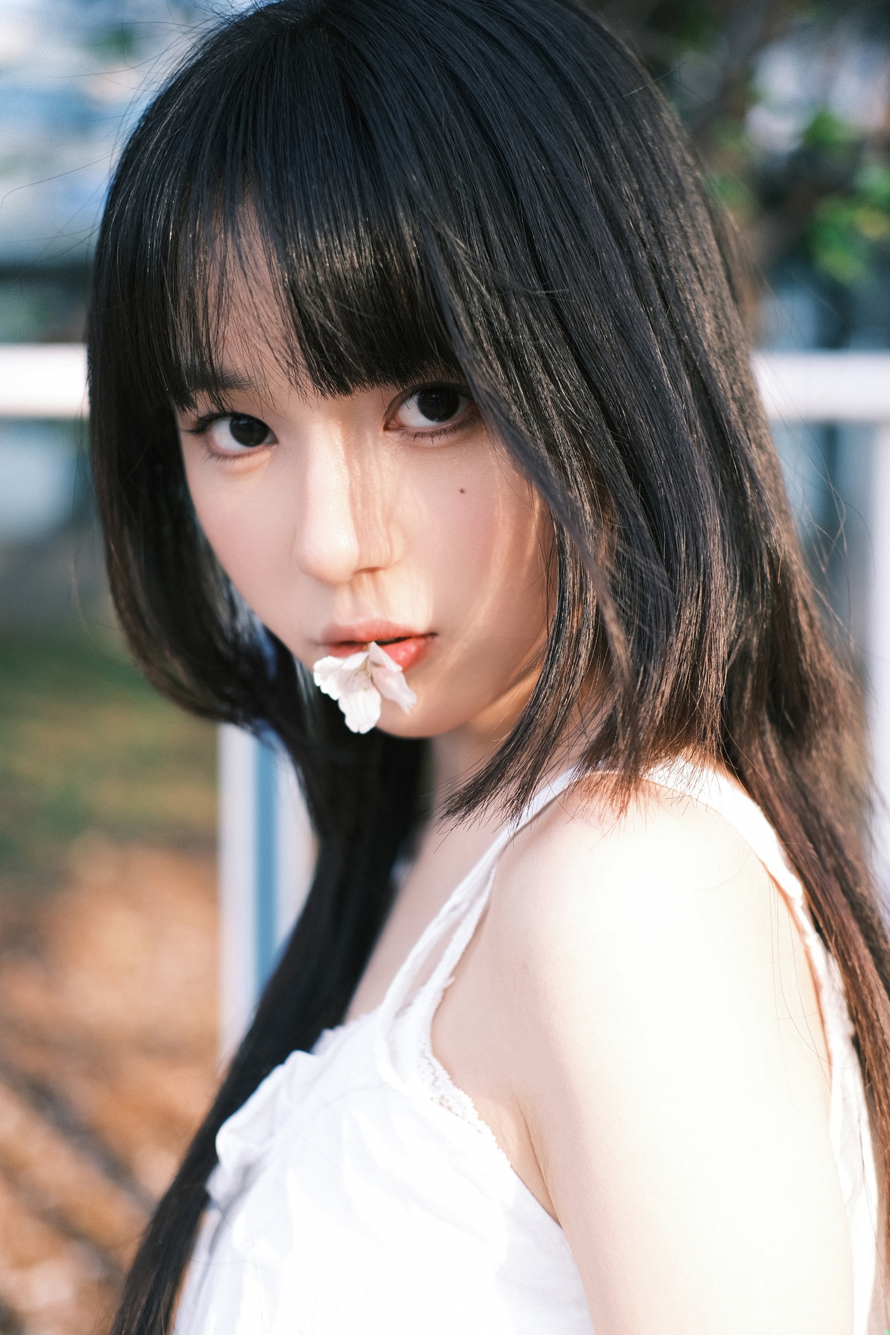四月物语 海带木鱼花