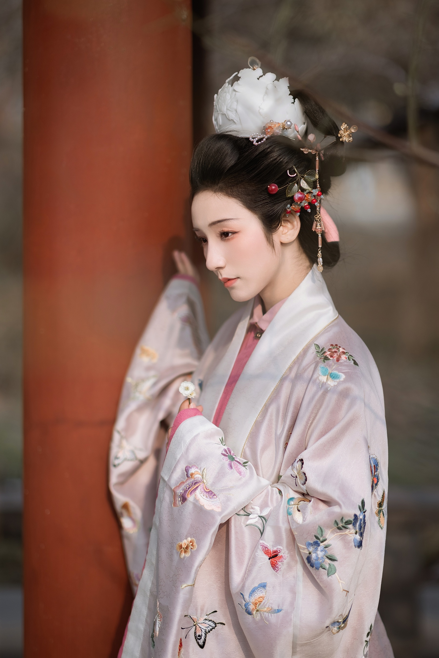 待放琼苞 之于浅灯