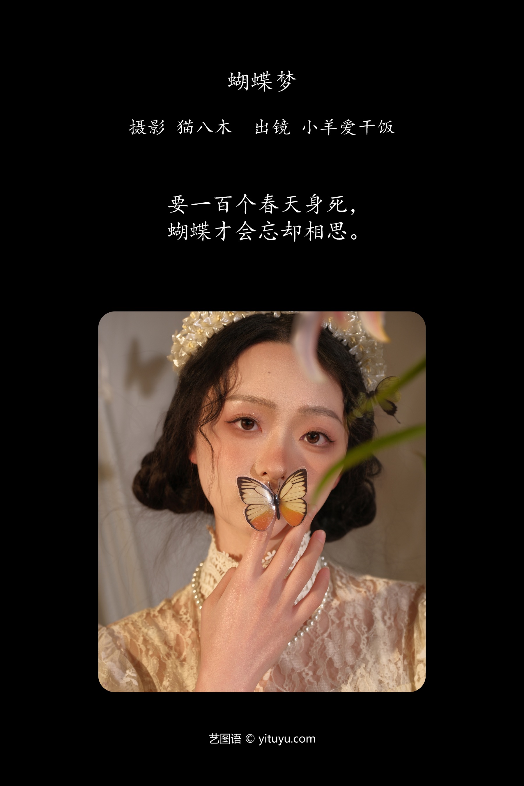 蝴蝶梦 小羊爱干饭