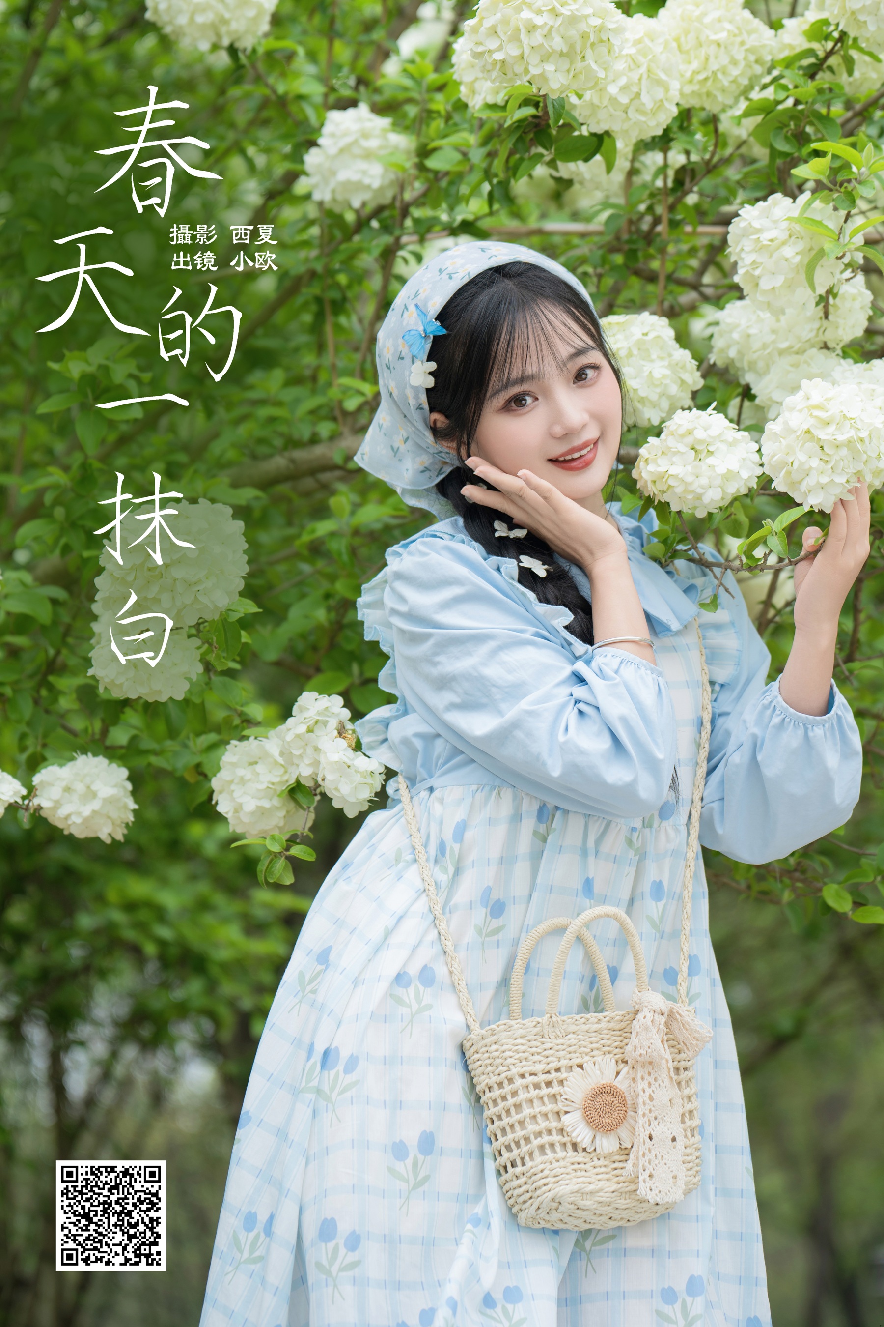 春天的一抹白 小欧O