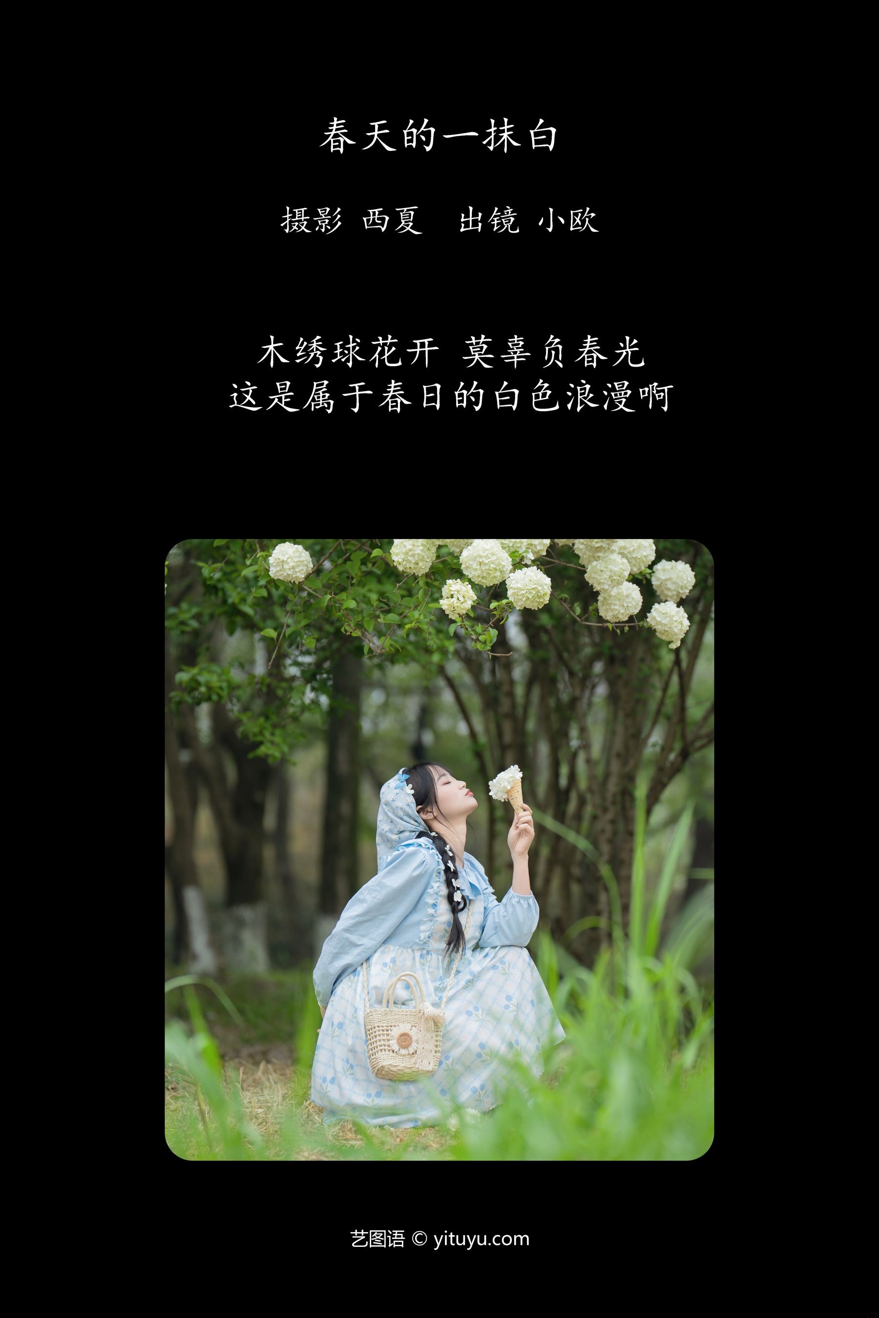 春天的一抹白 小欧O