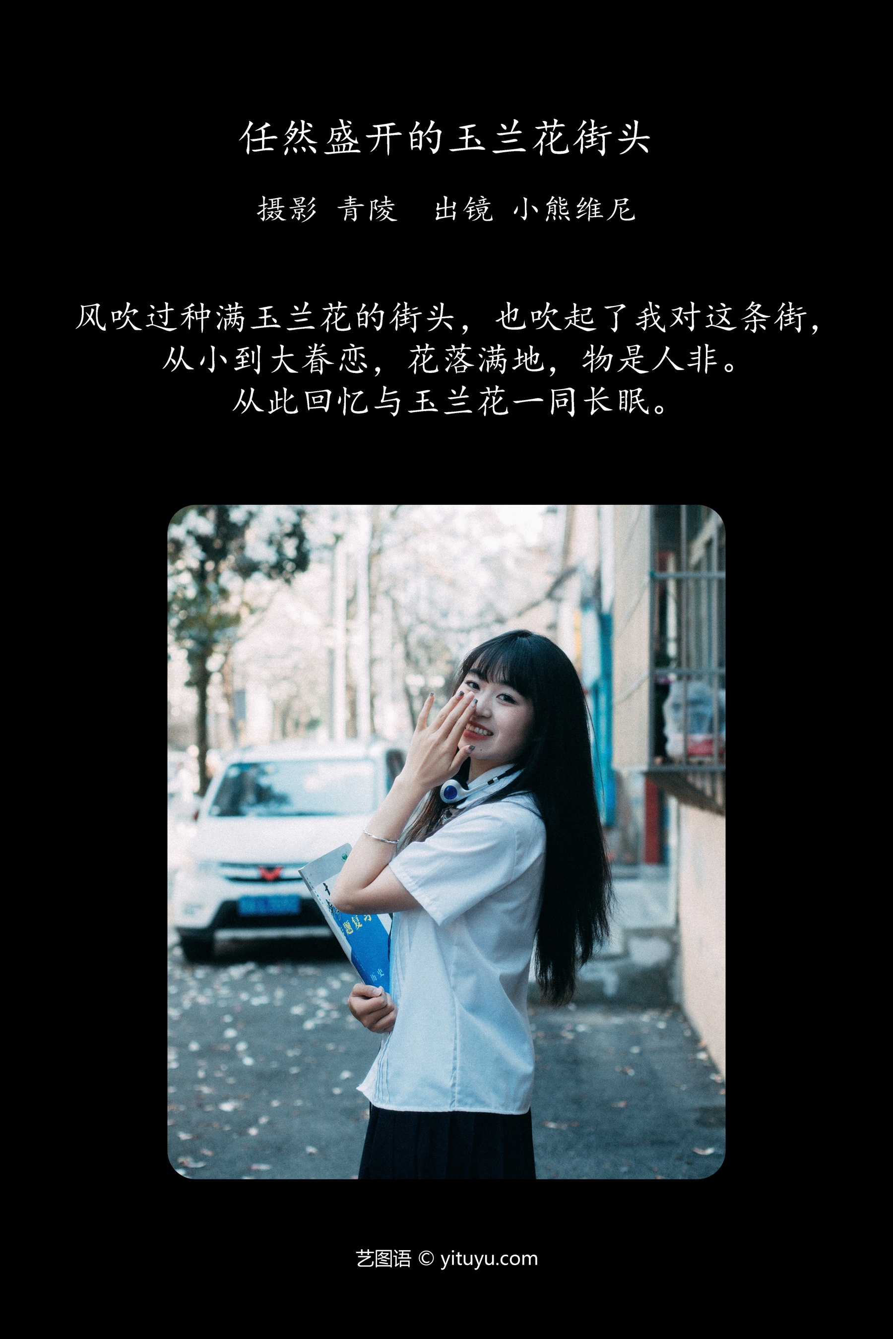 任然盛开的玉兰花街头 小熊维尼