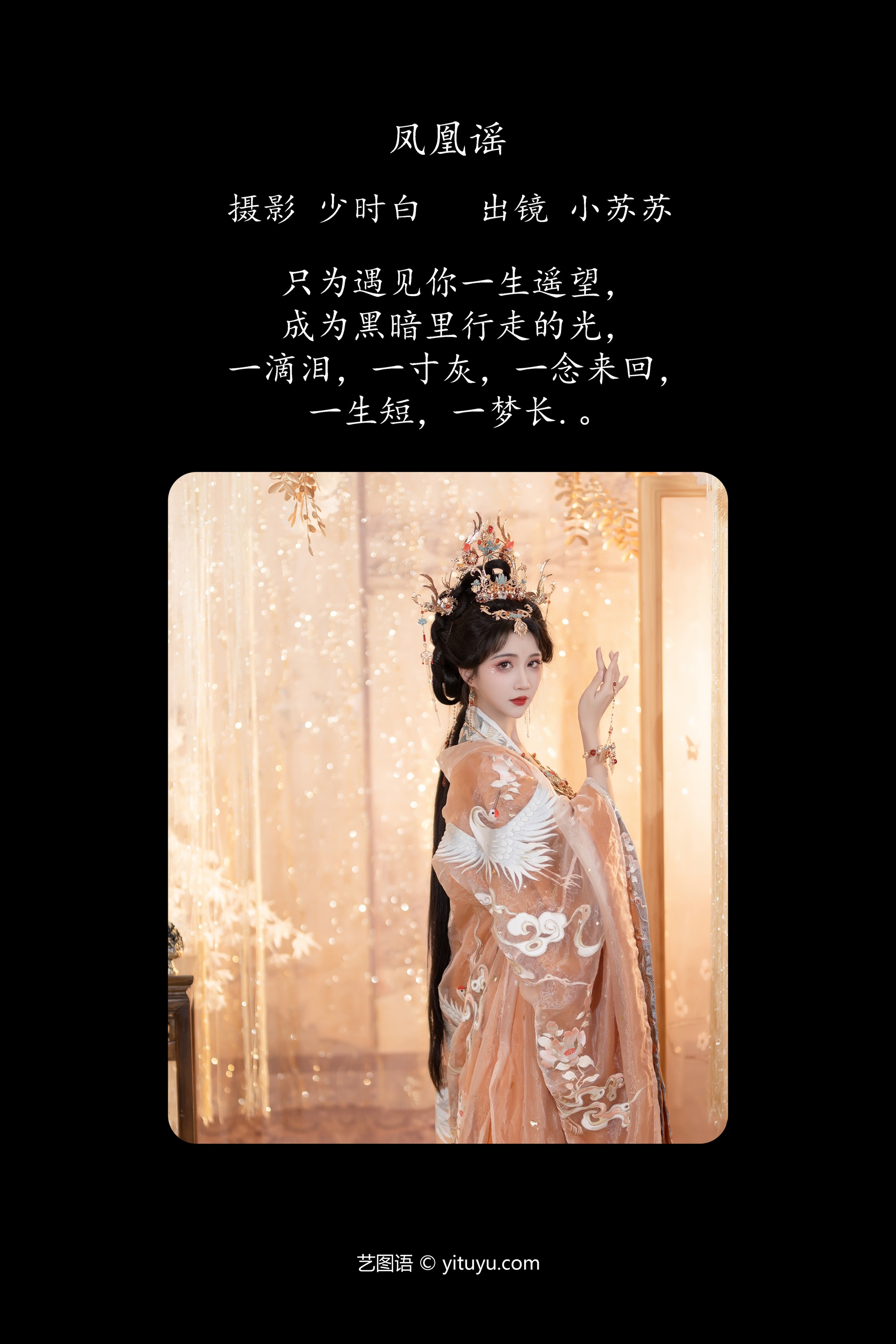 凤凰谣 绮罗生的小苏苏