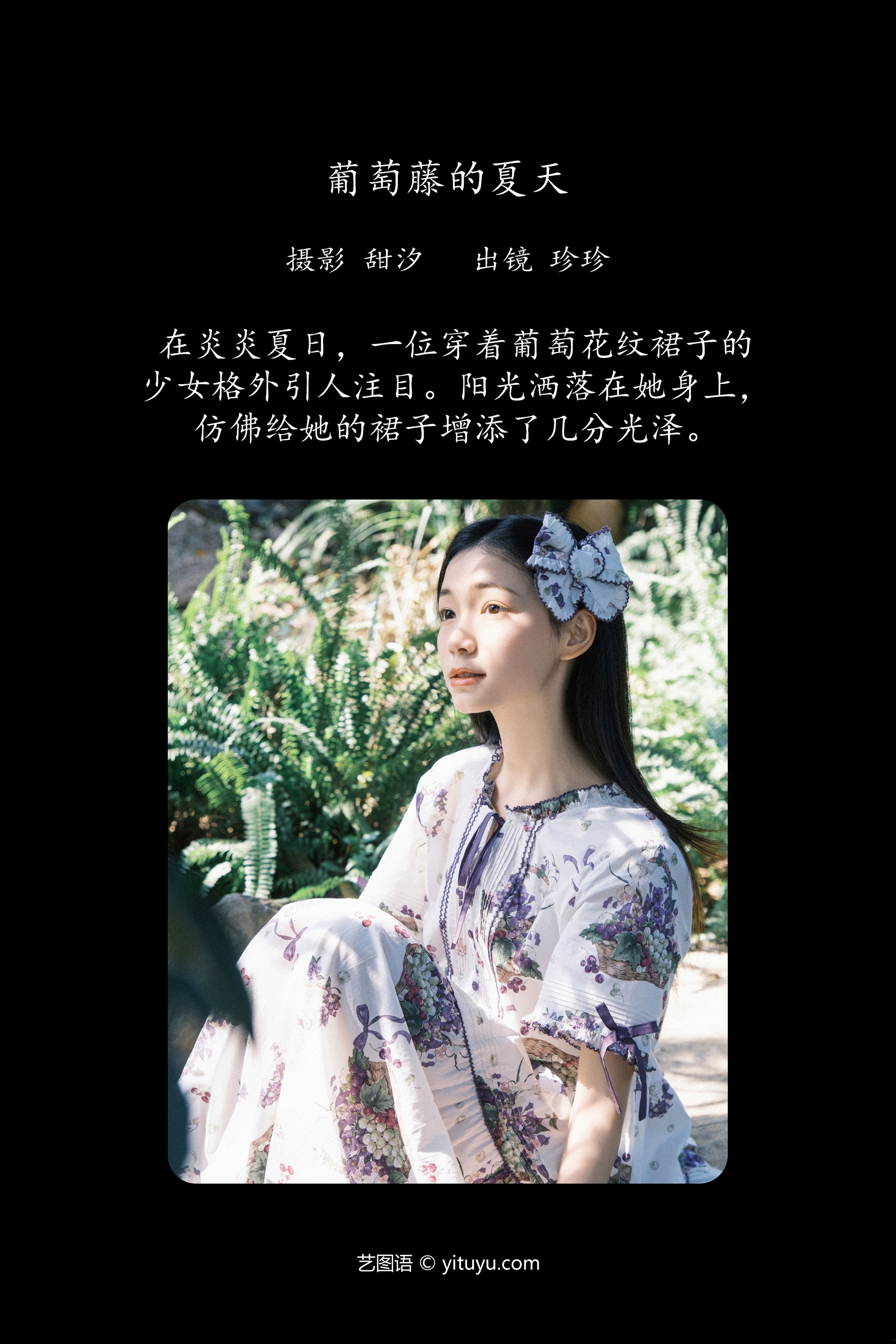 葡萄藤的夏天 Zzzhen