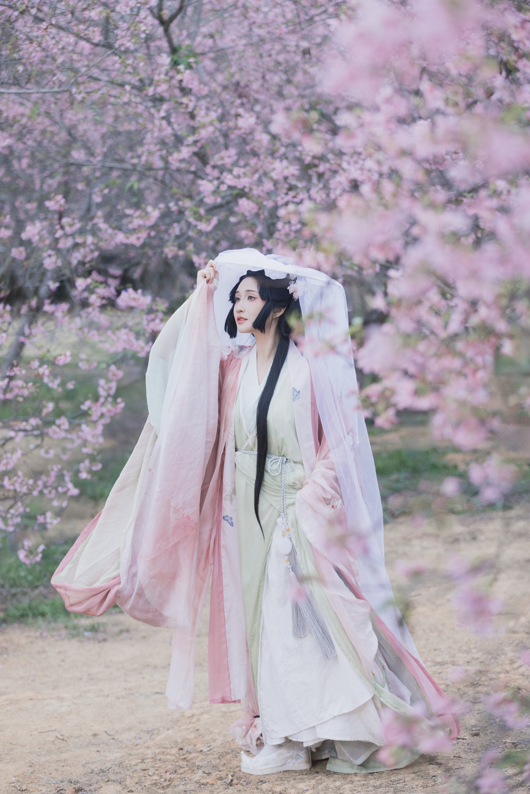 落樱 希希