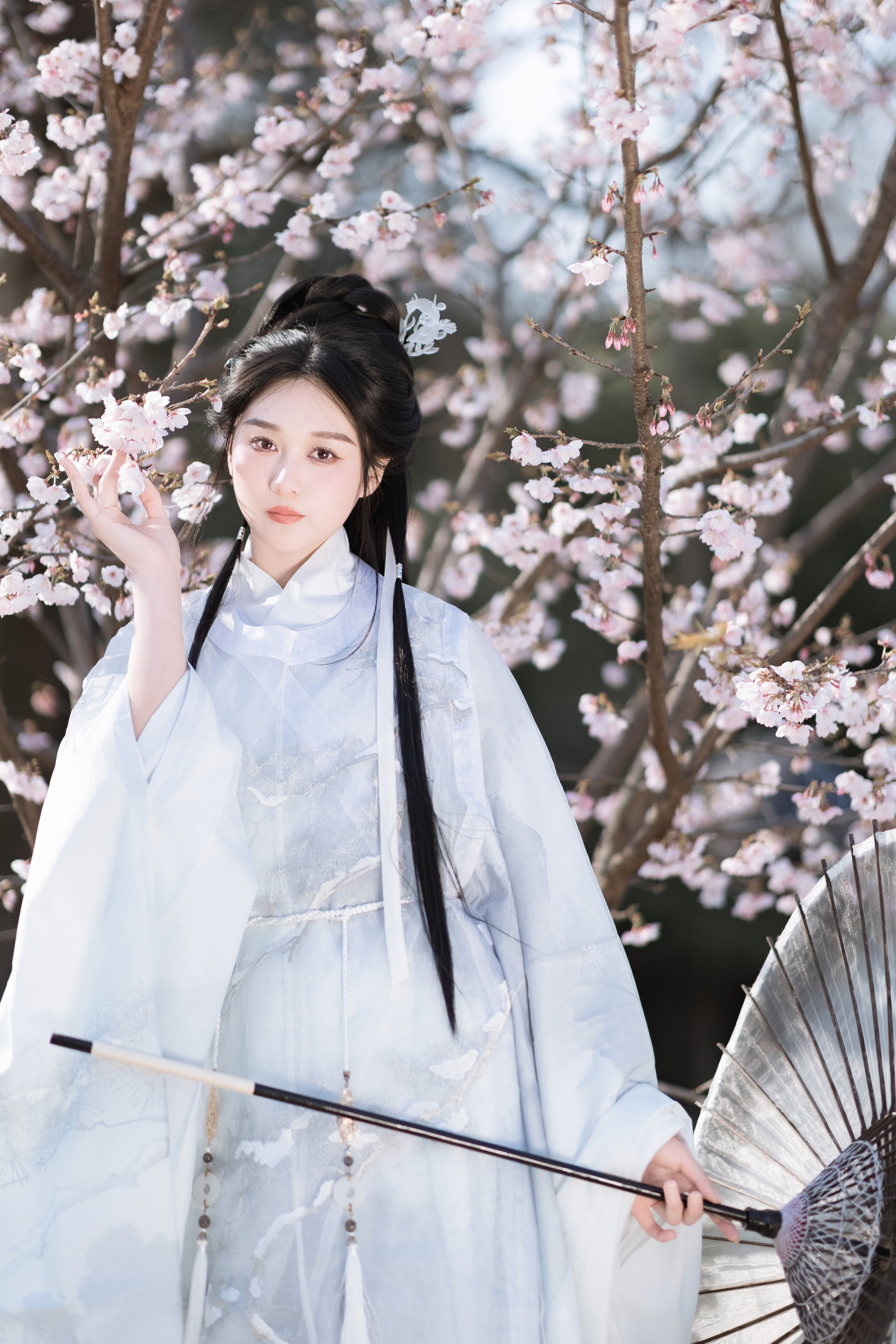 花间酒 郑钰熙