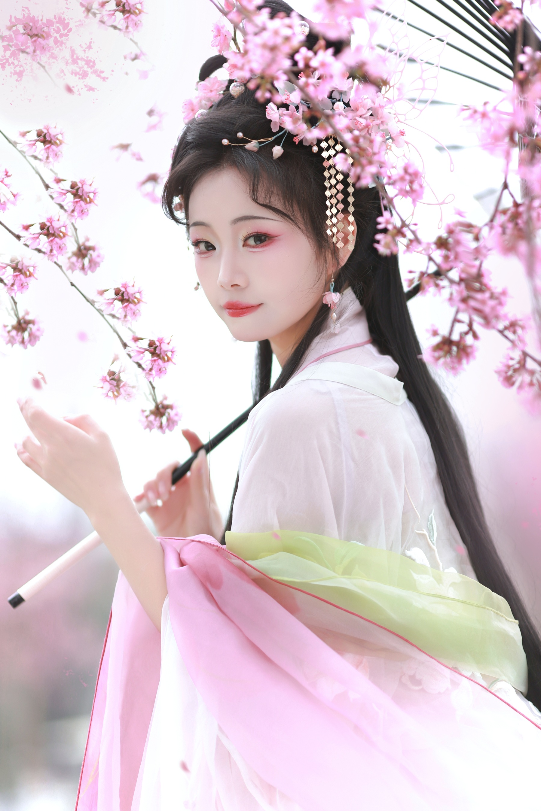 樱之梦 千玥