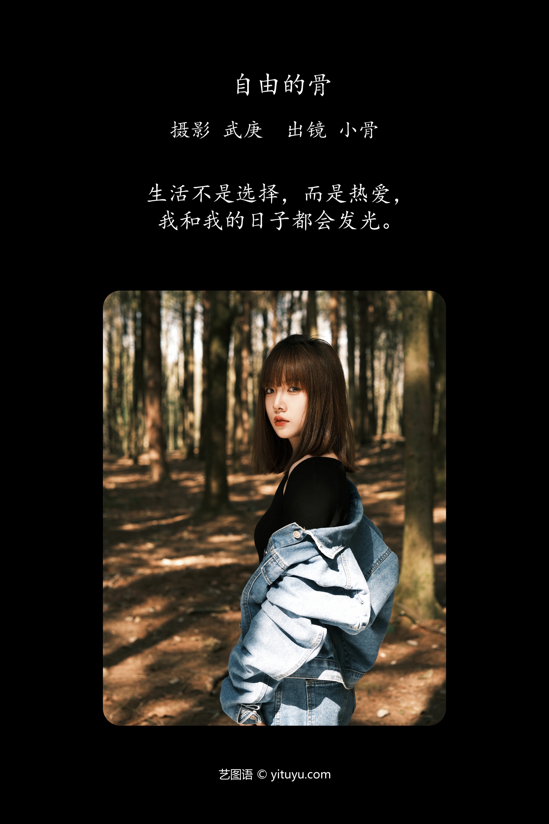 自由的骨 小骨