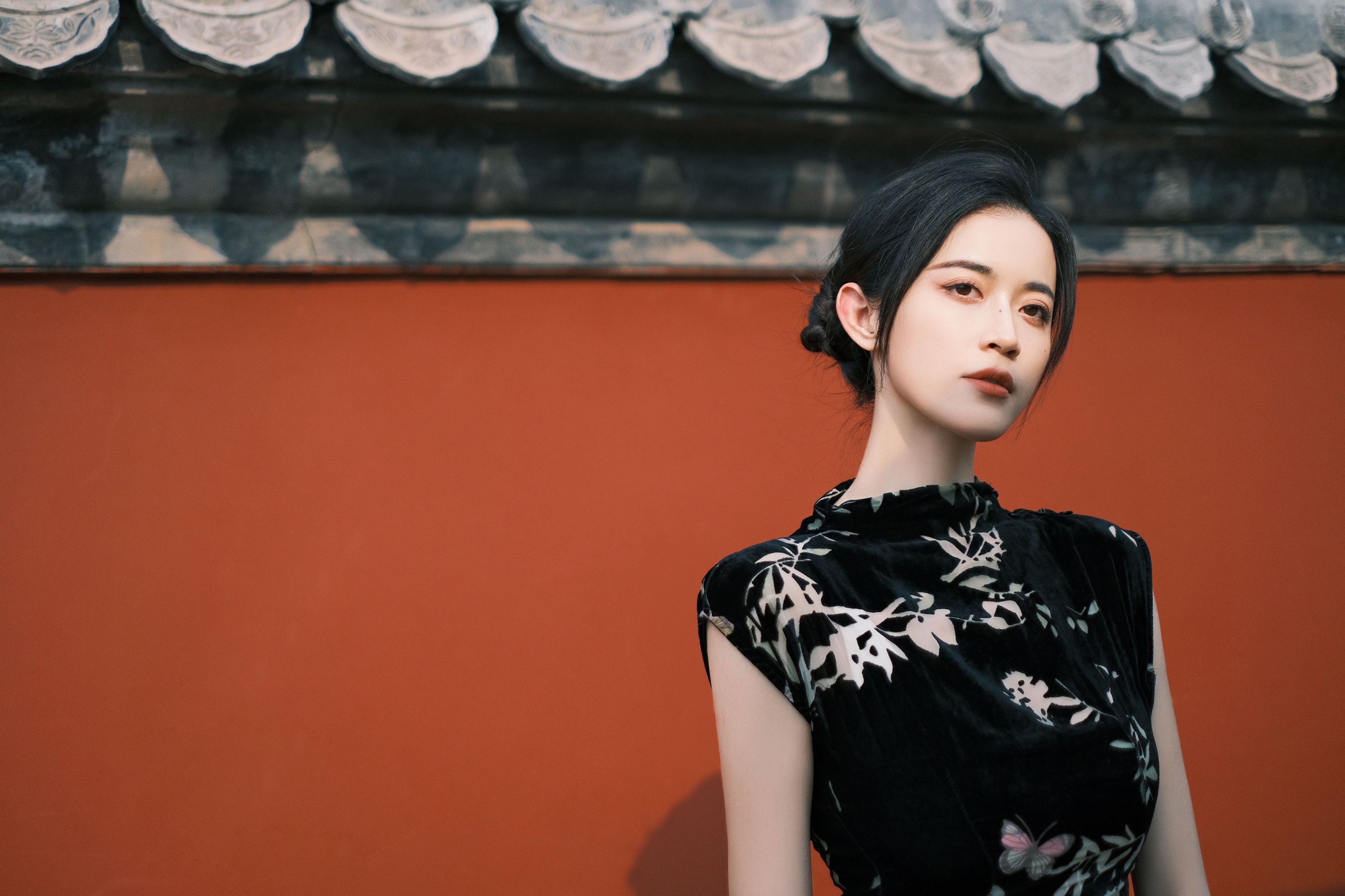 红墙雅韵 陈小瑜